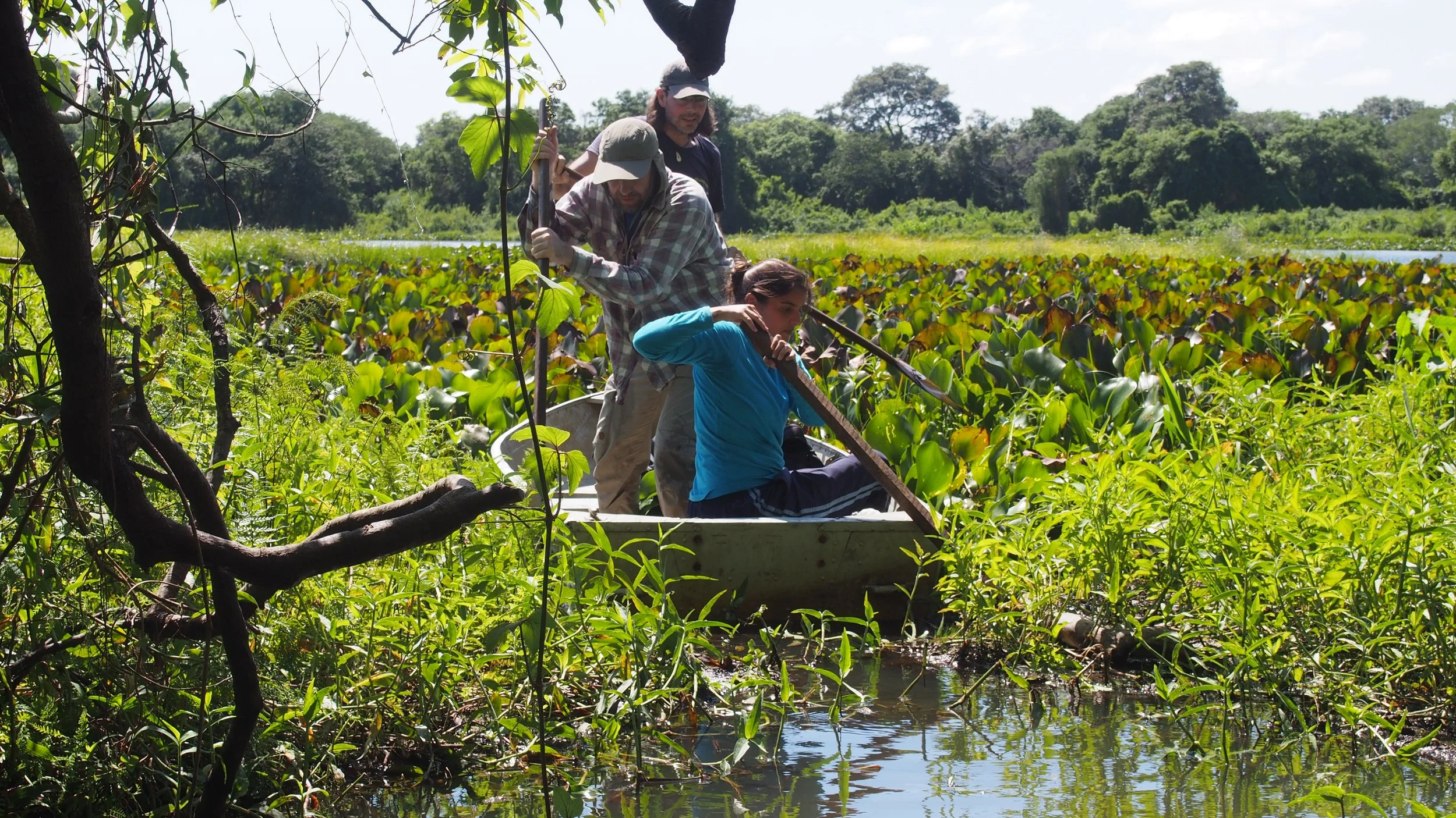 Sampling in a Pantanal Lake, Brazil 2016