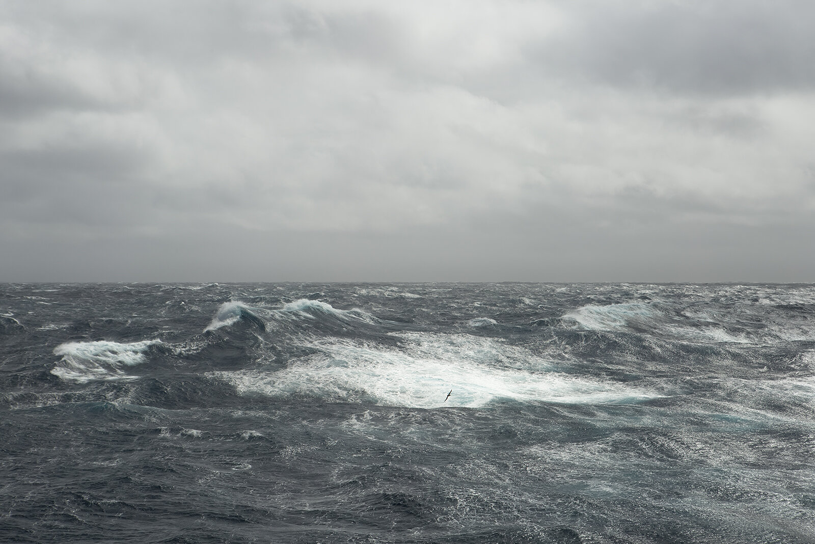 Drake Passage II.jpg