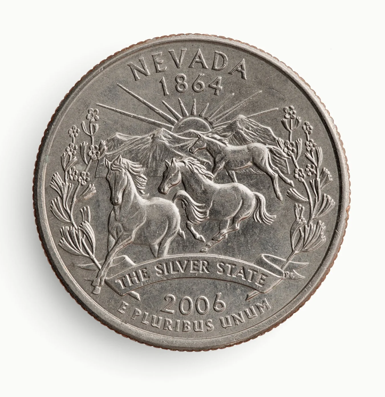36_Nevada_C_16.5x16_print.jpg