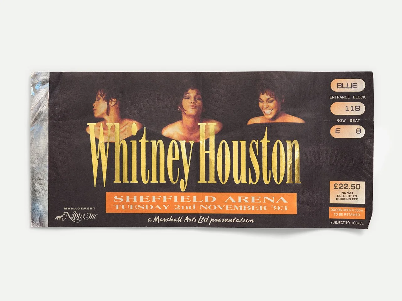 Whitney Houston, Sheffield Arena, Sheffield, UK 1993