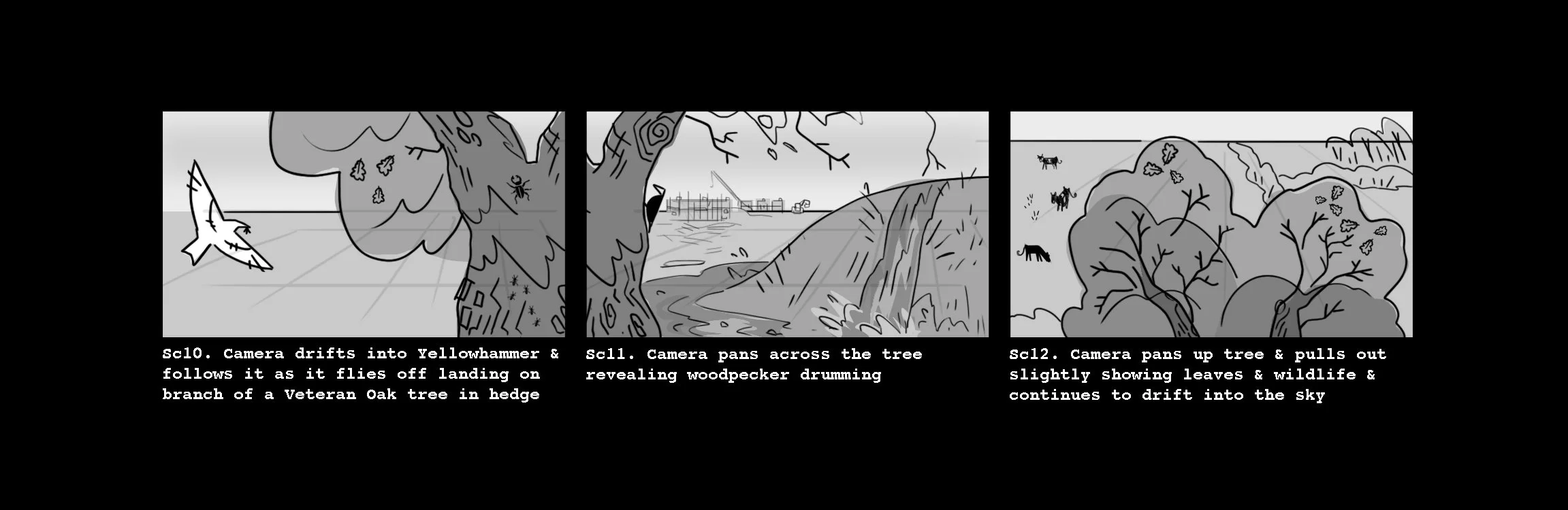 storyboard scene 10-12