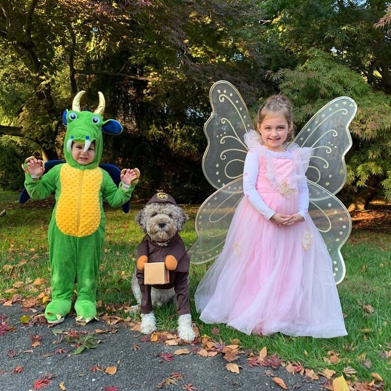 Halloween in Hillcrest Park! The dragon, fairy....and UPS delivery pup Leo. @scarlet.coyote @linhartdentistry