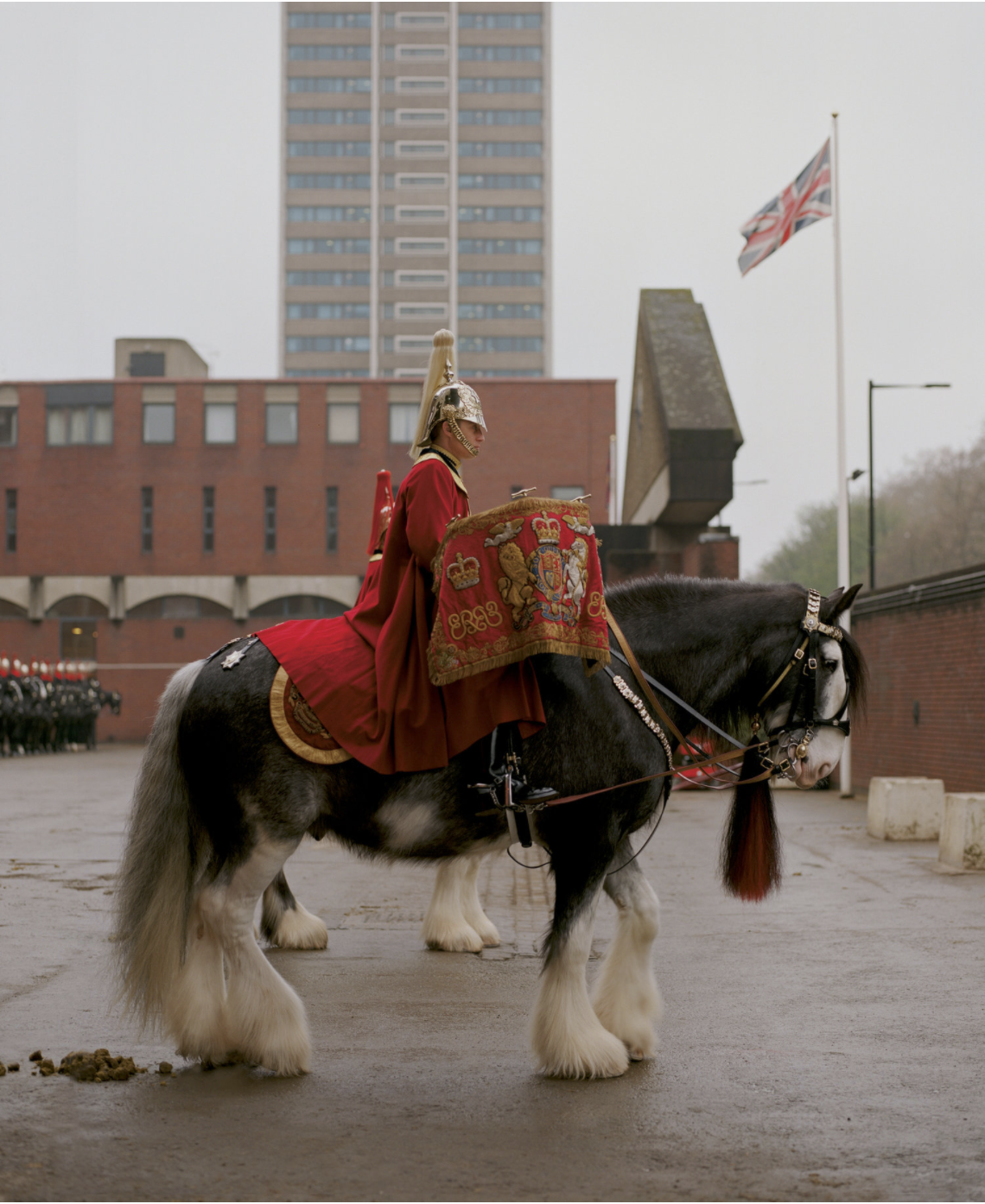 The Household Cavalry. 2019