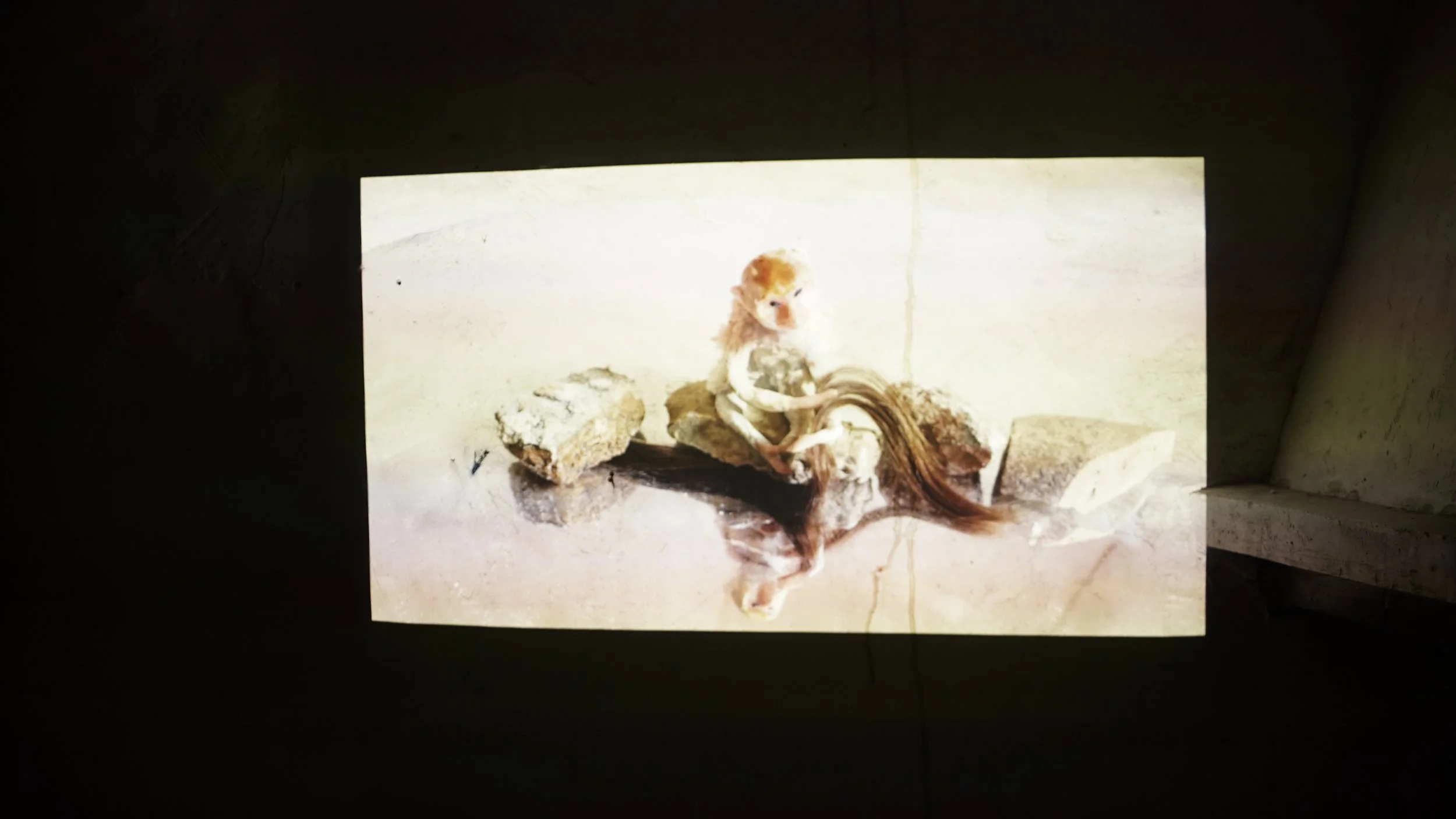 Photo by Selu Harraiz, AADK Spain