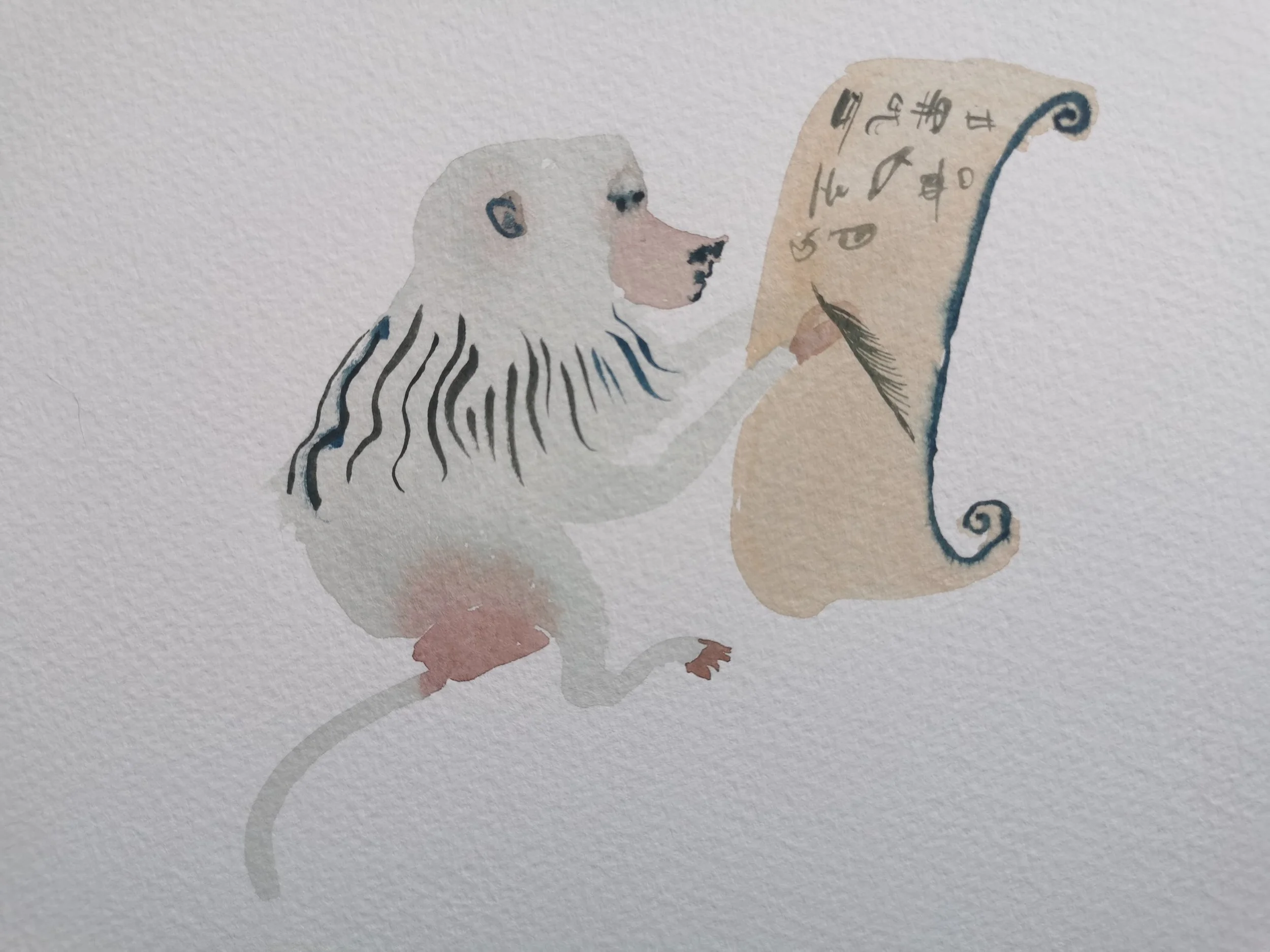 Folklore about Baboons