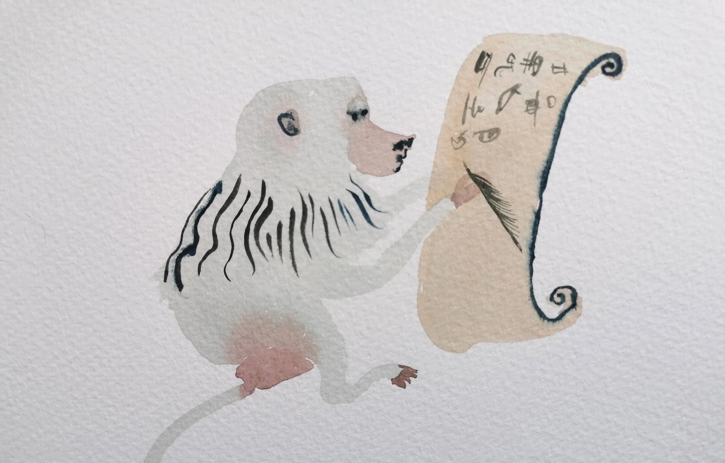 Folklore about Baboons