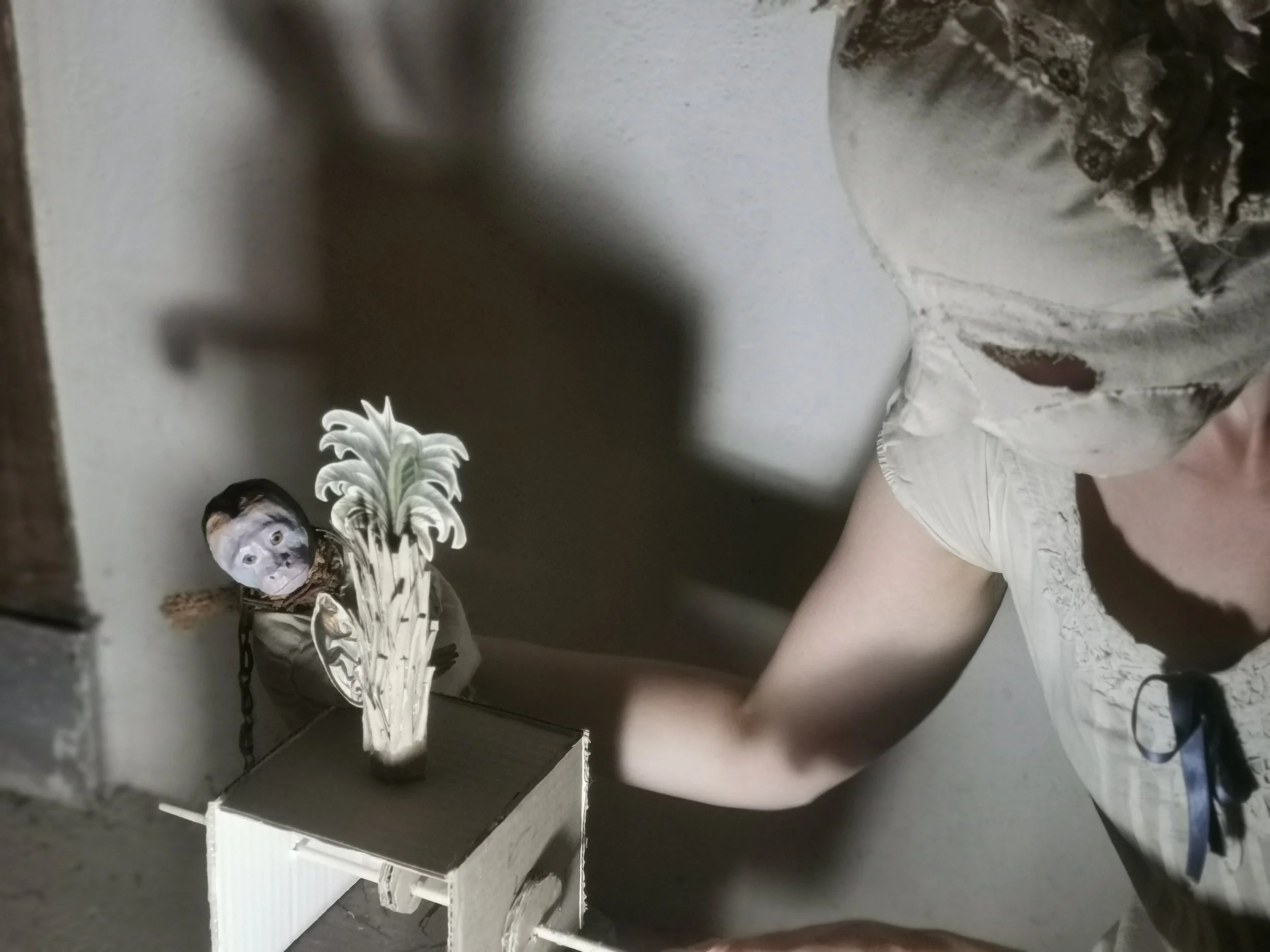 Photo by Ulysses Black