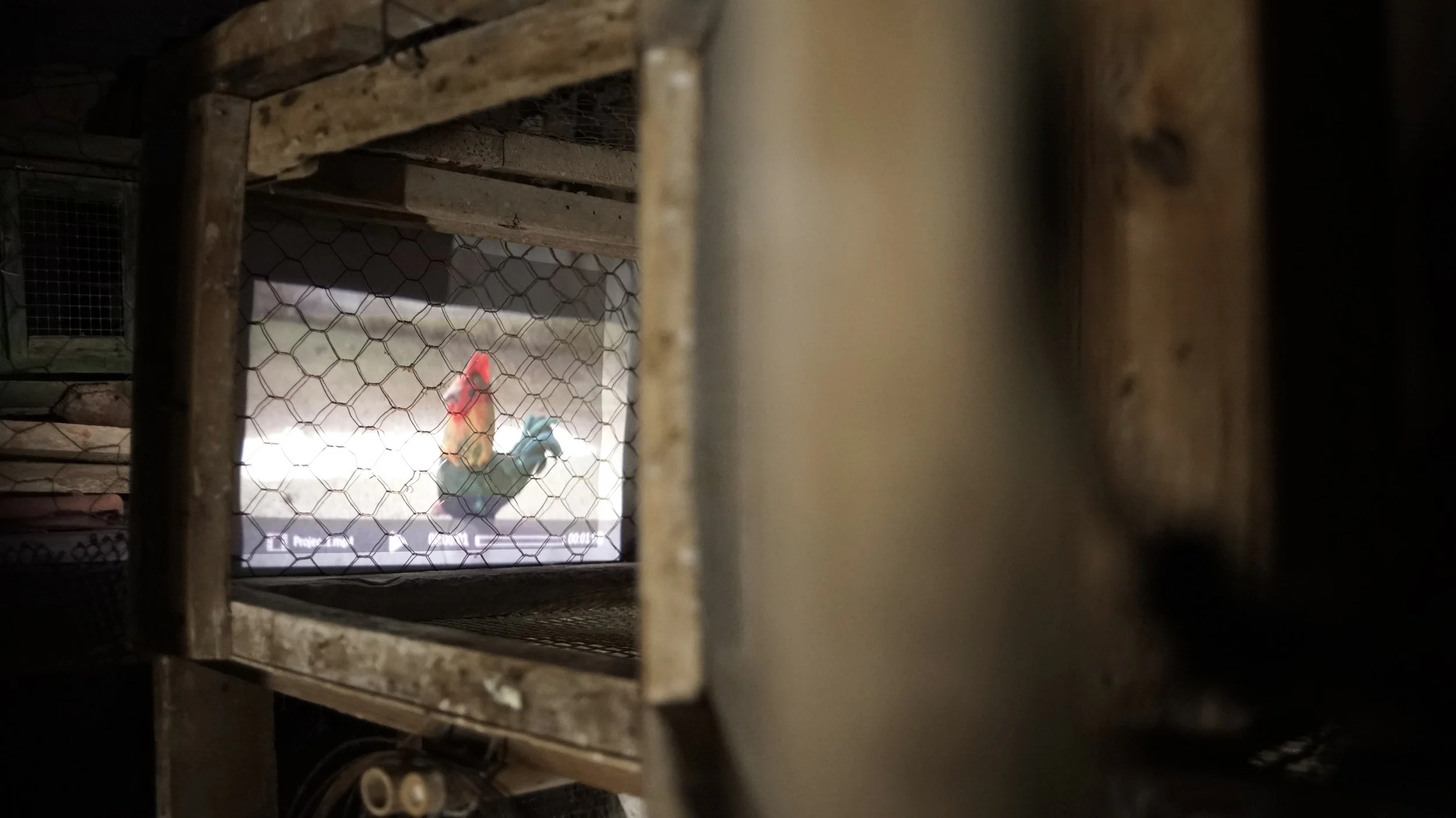 Photo by Selu Harraiz, AADK Spain