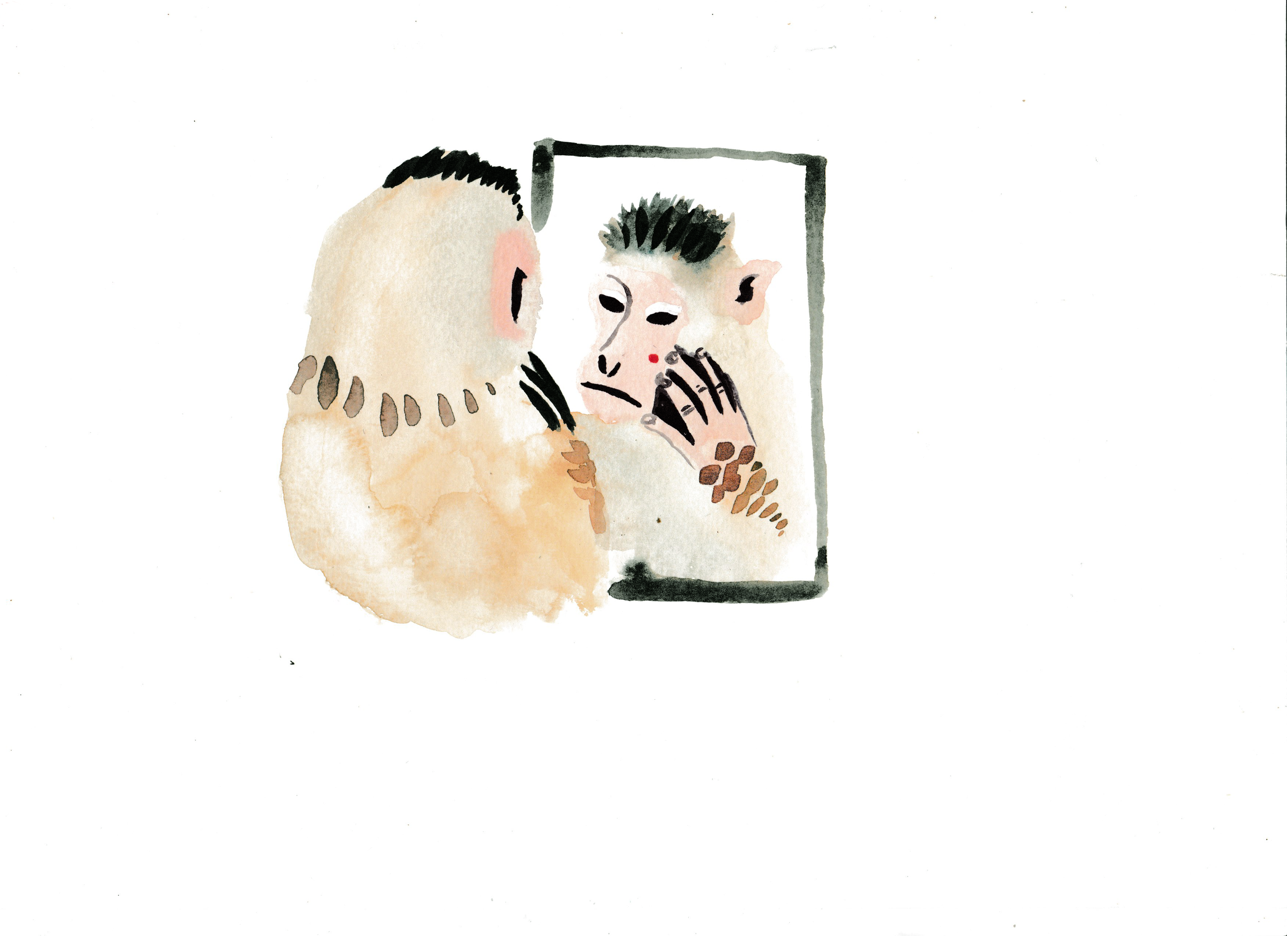 watercolour macaque mirror test 1 edited.png