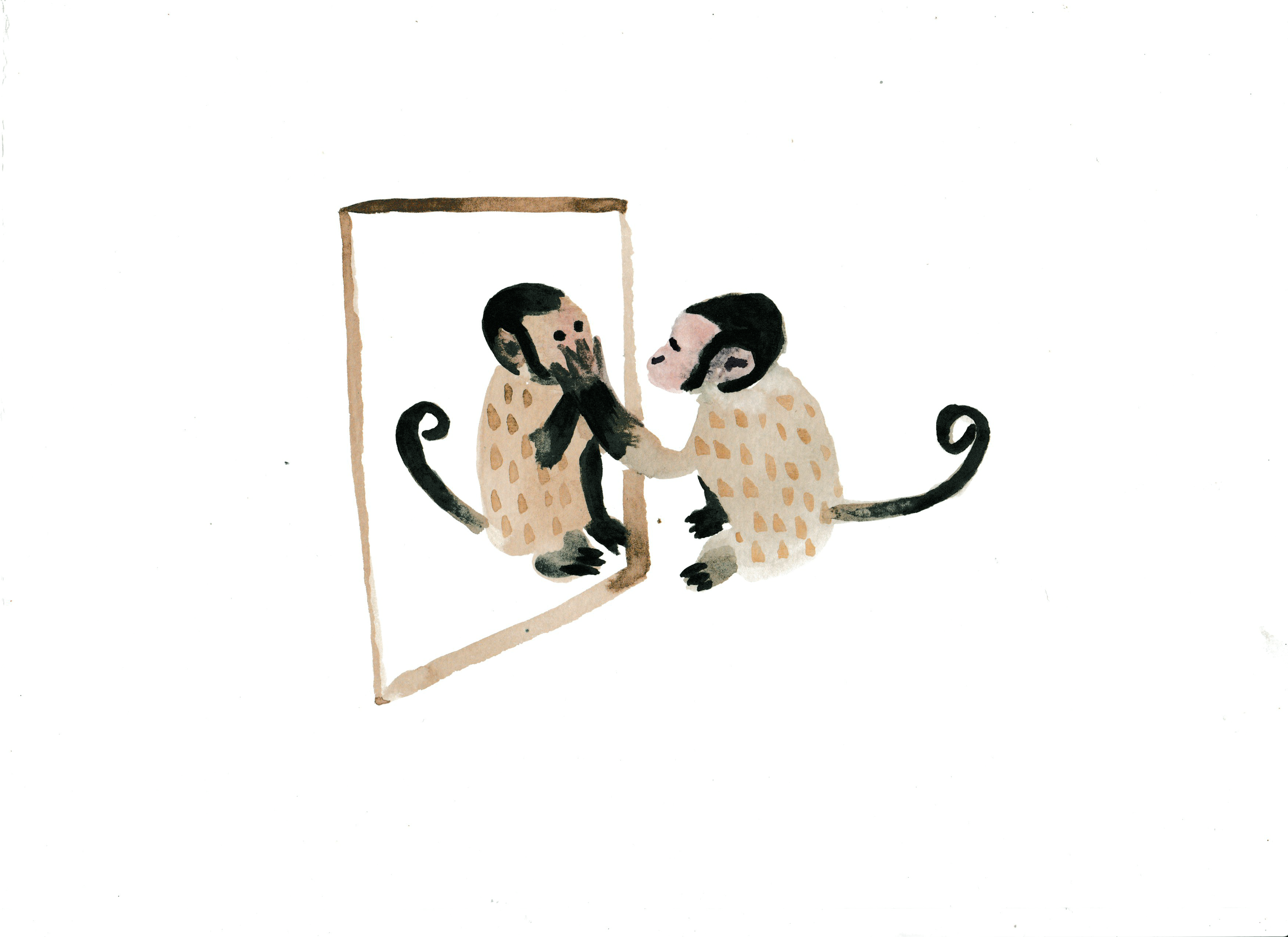 capuchin and mirror whole body.png