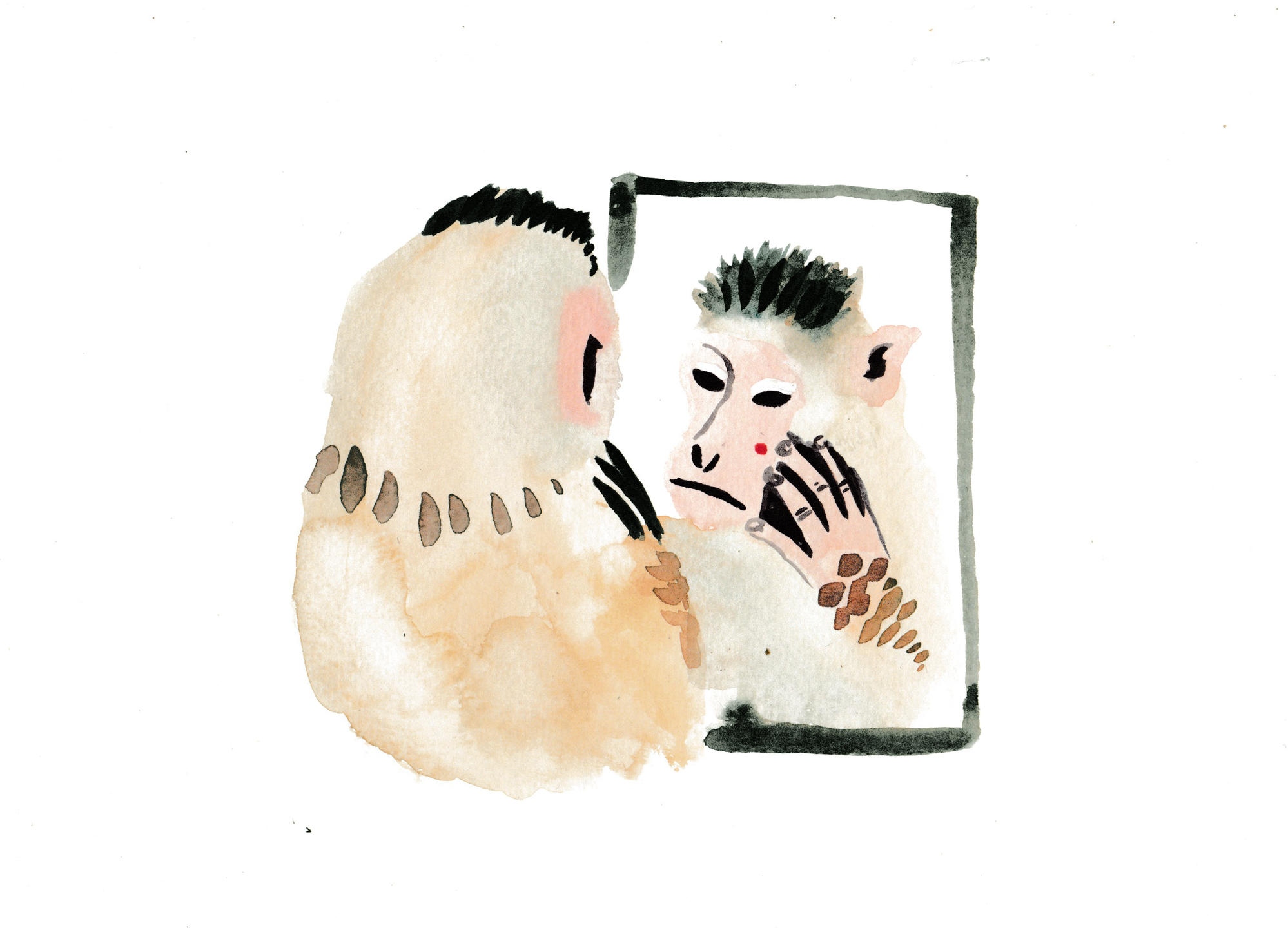 Macaque with Mirror - giclee print of original watercolour painting