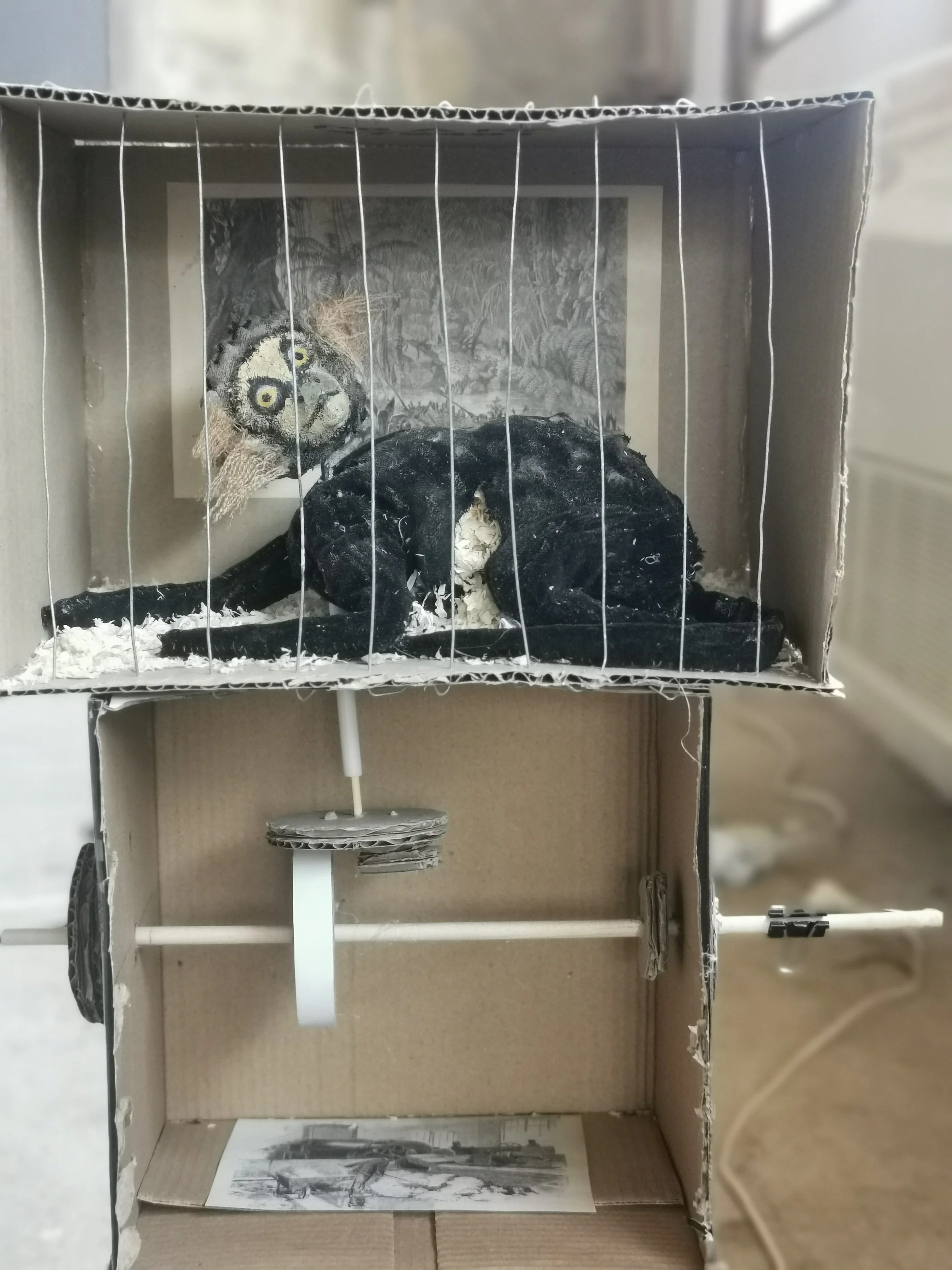 Photo by Ulysses Black