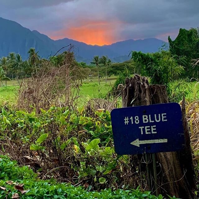 Lucky we live and play in Hawaiʻi&mdash;enjoying the views at @bayviewgolfhawaii 😍⛳️🏌🏽&zwj;♂️