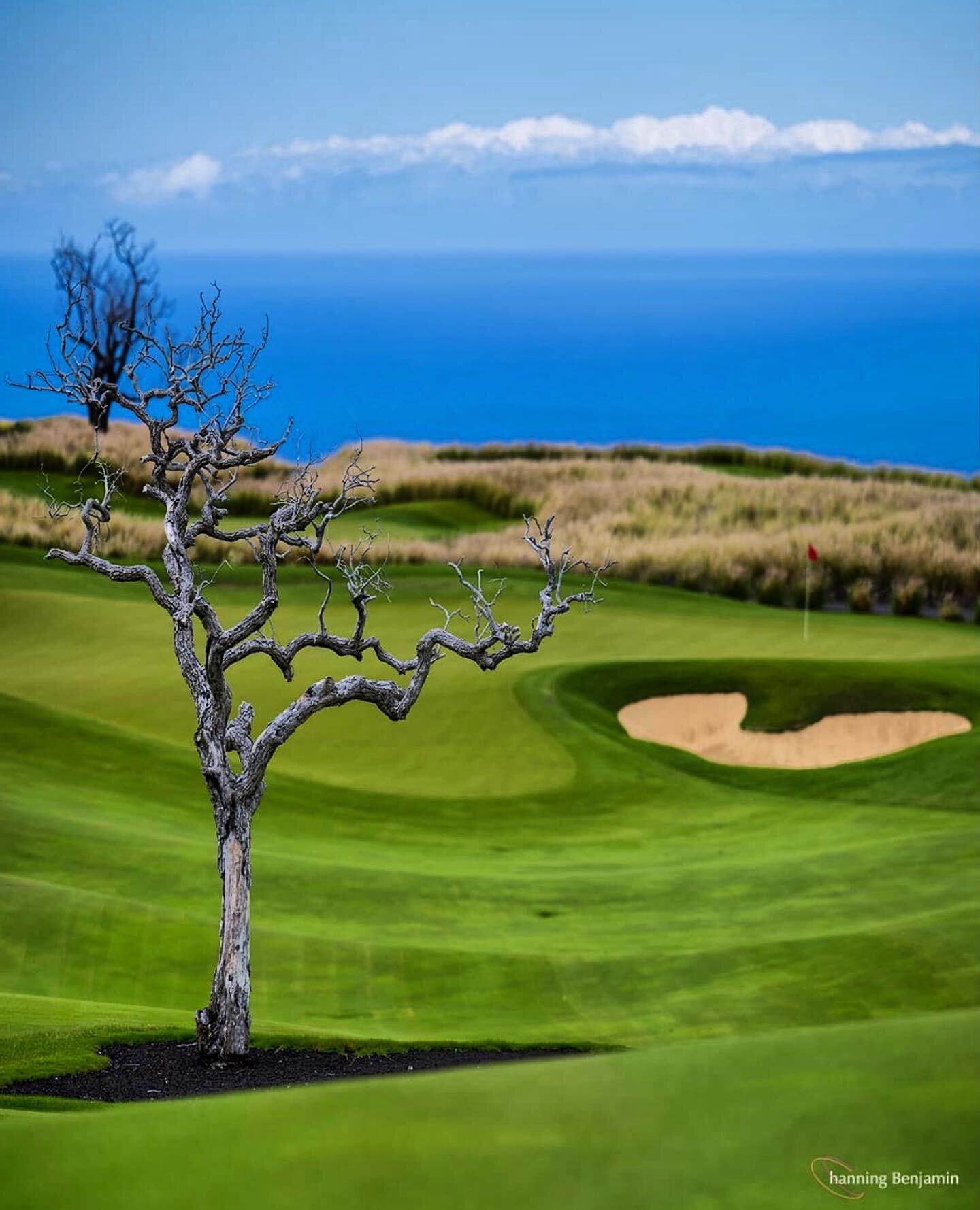 Roger Dunn Golf Hawaii