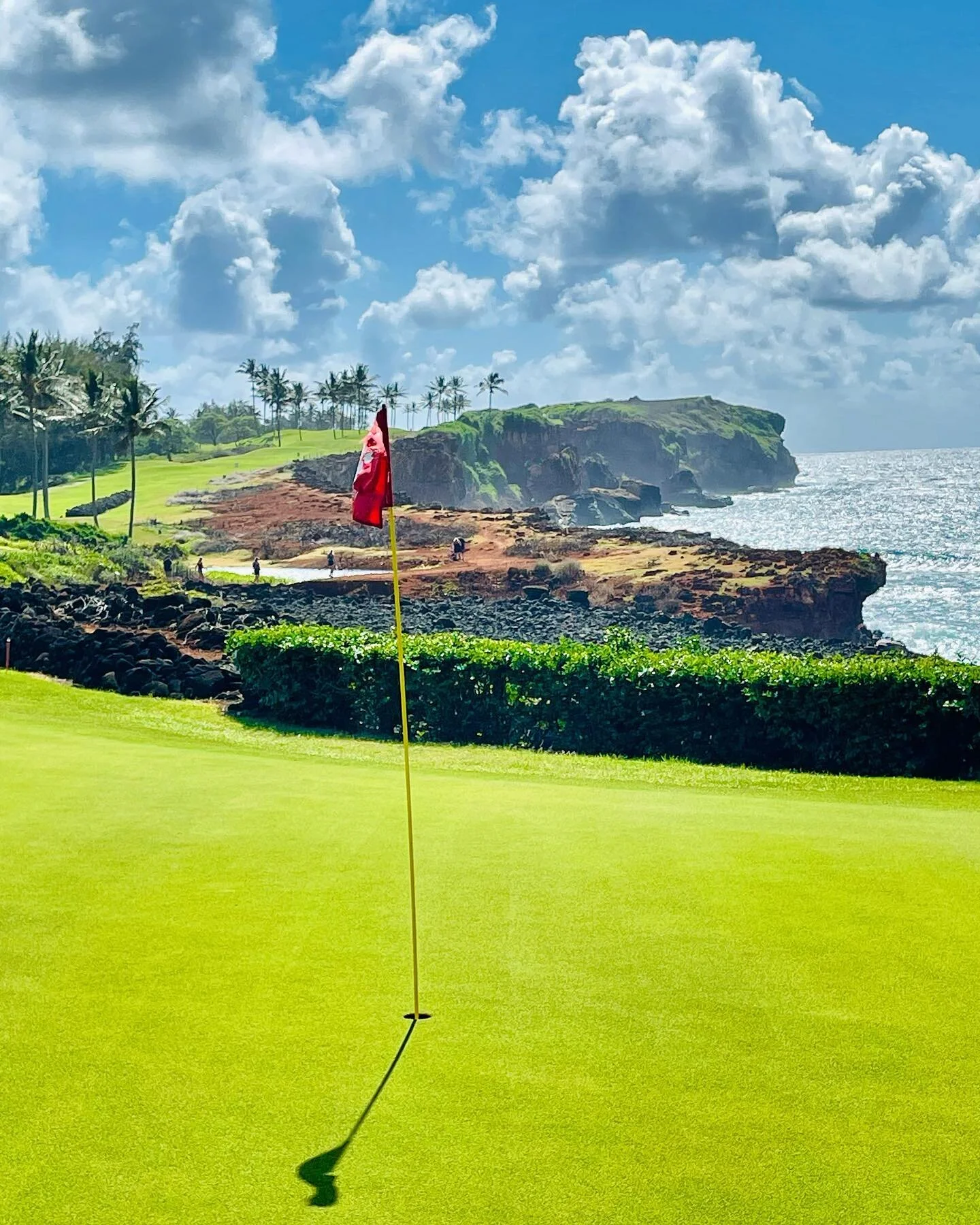 Roger Dunn Golf Hawaii