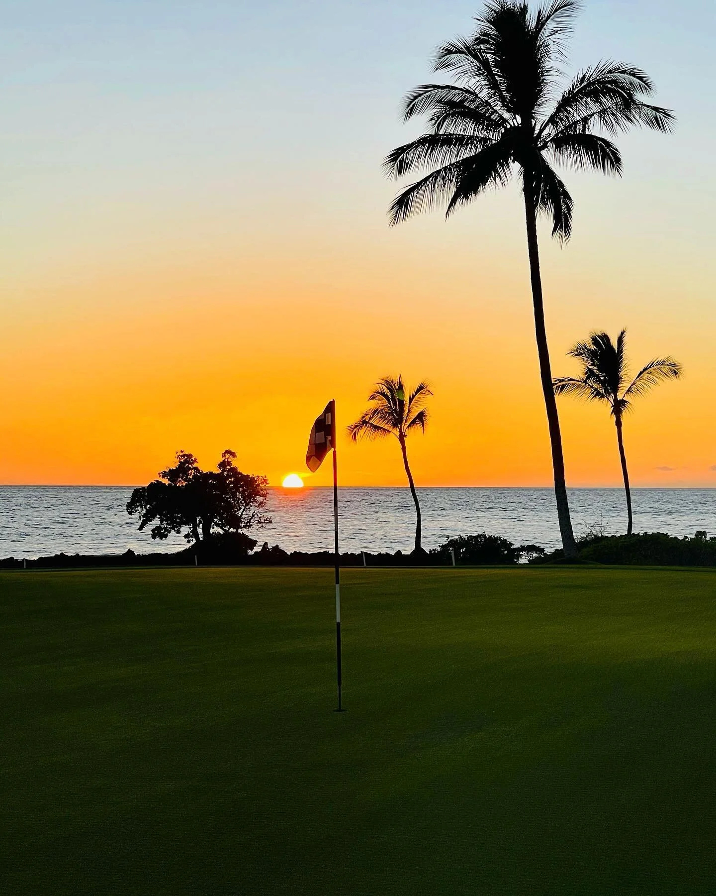 Roger Dunn Golf Hawaii