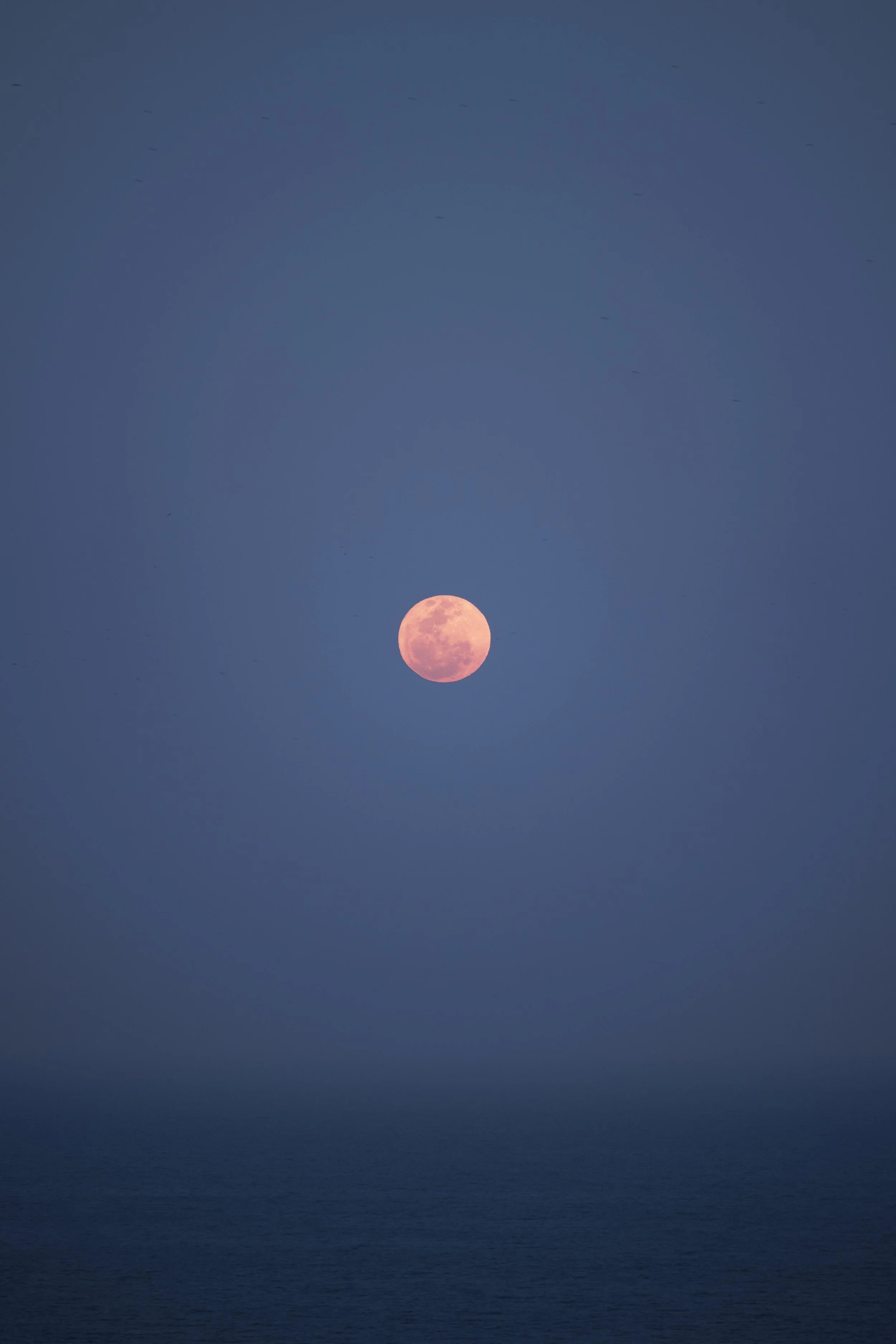 _06A6305.JPG