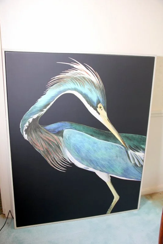 Large Blue Heron Canvas Print