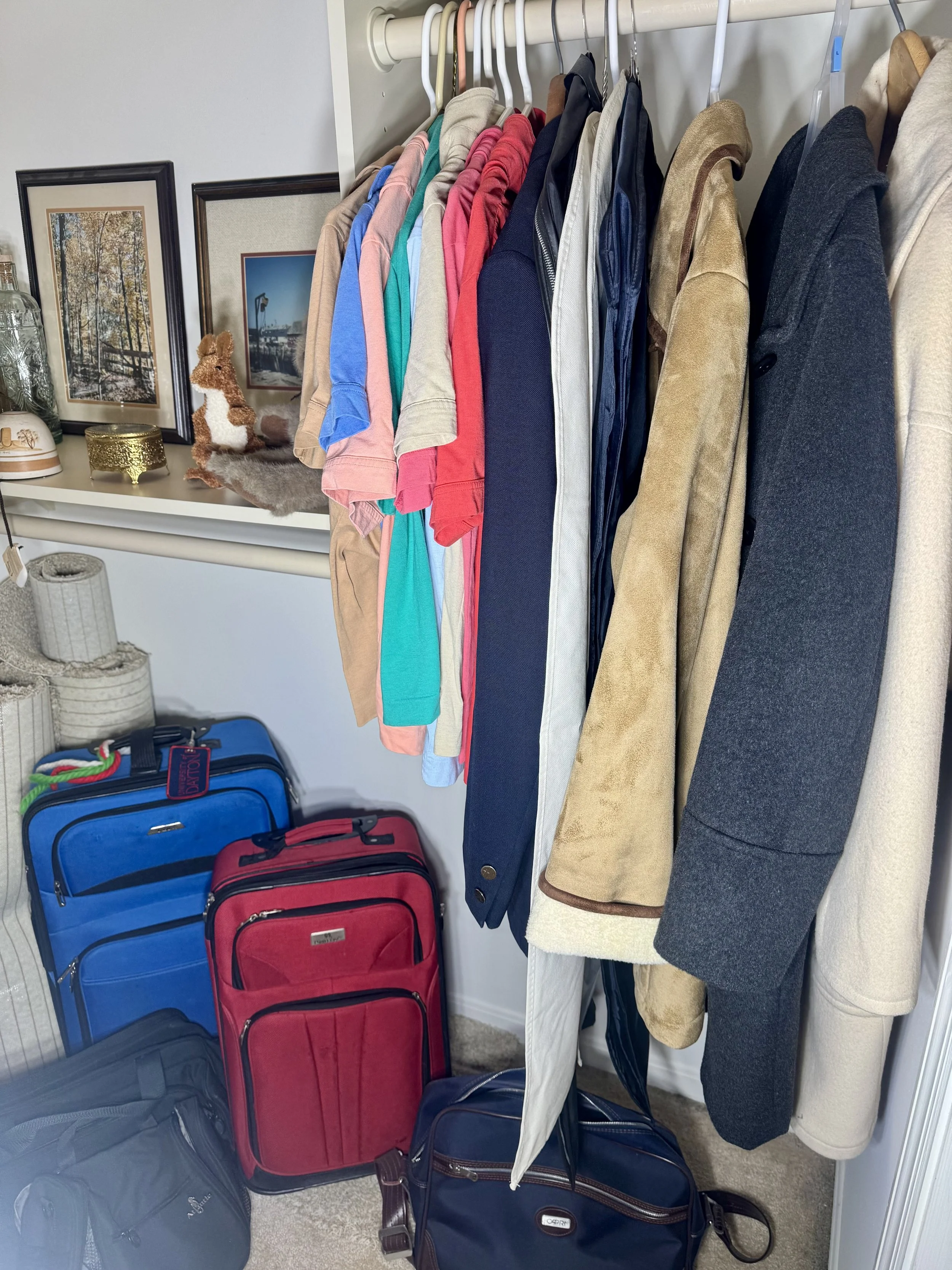 clothing, luggage, and art