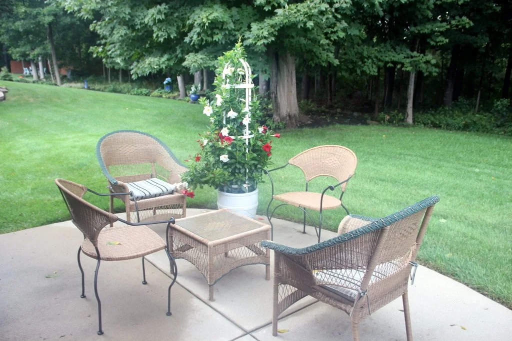 Wicker Furniture, Potted Trellis