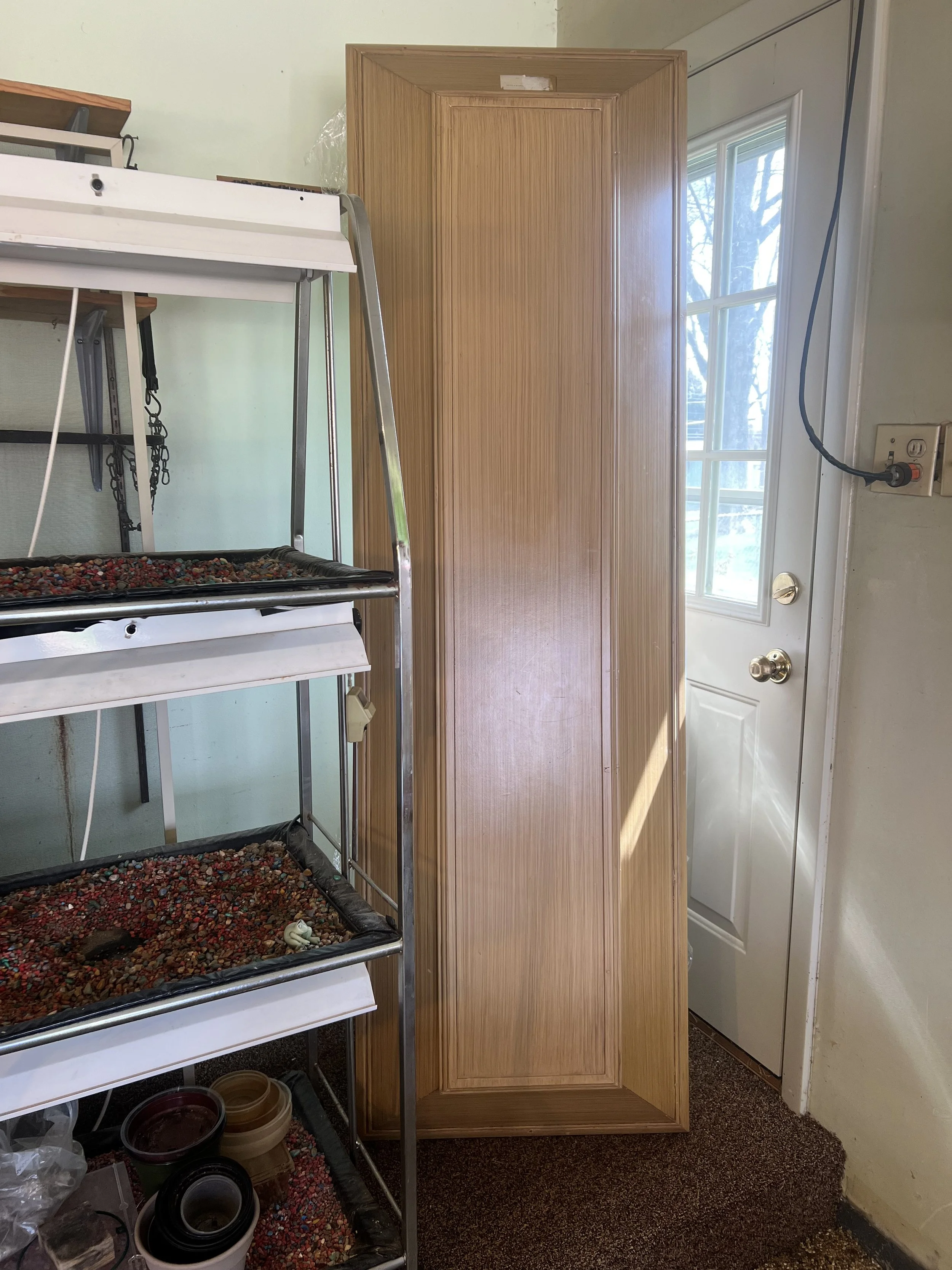 Tiered rolling plant grow-light stand—essential for any indoor gardener