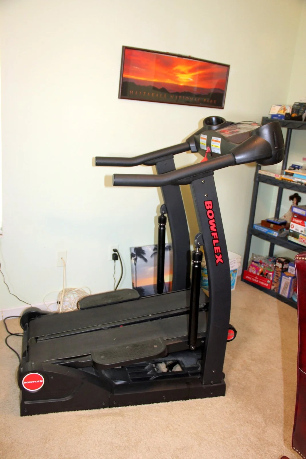 Bowflex Tread Climber TC5000