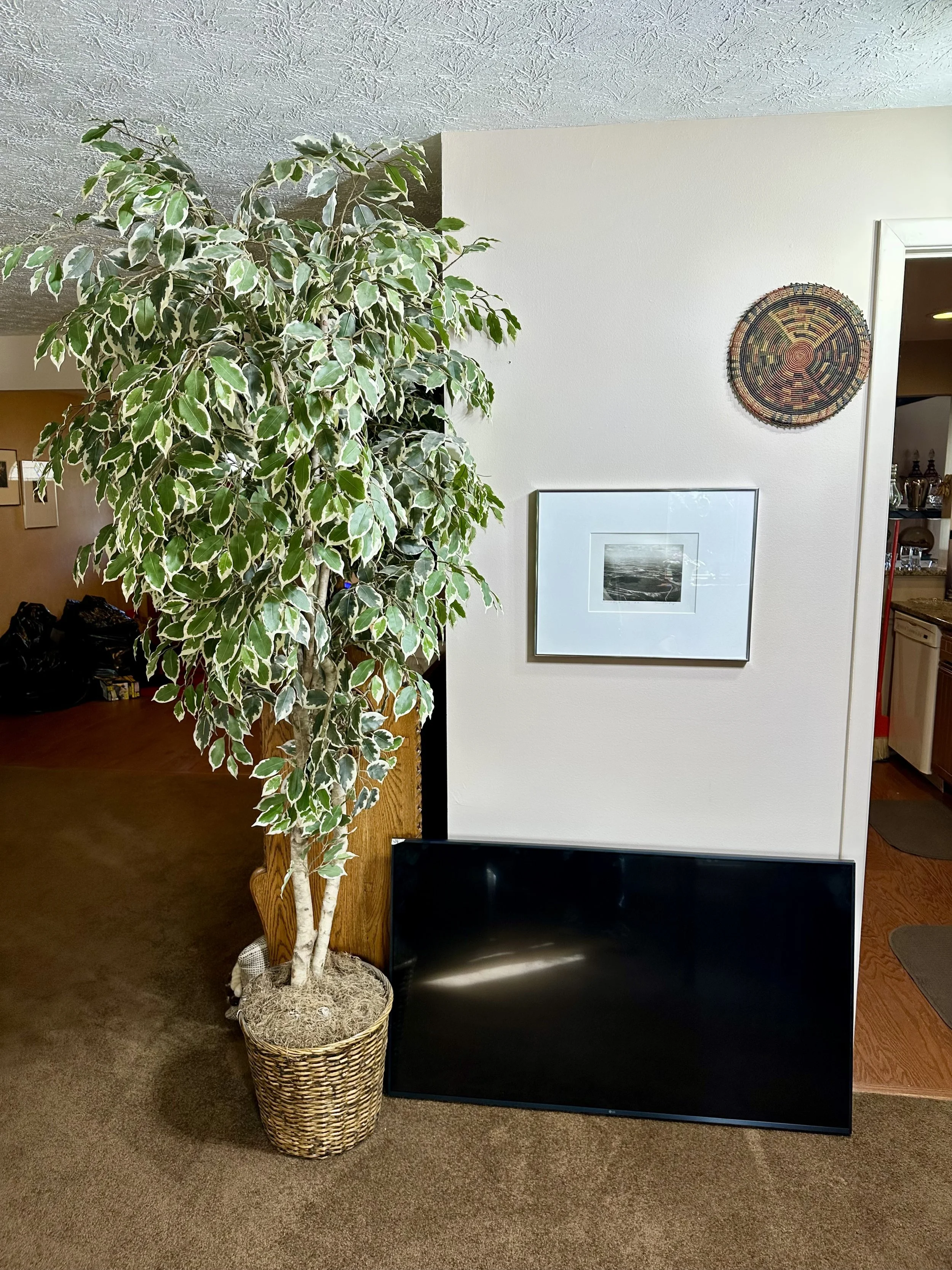 large TV and decorative tree