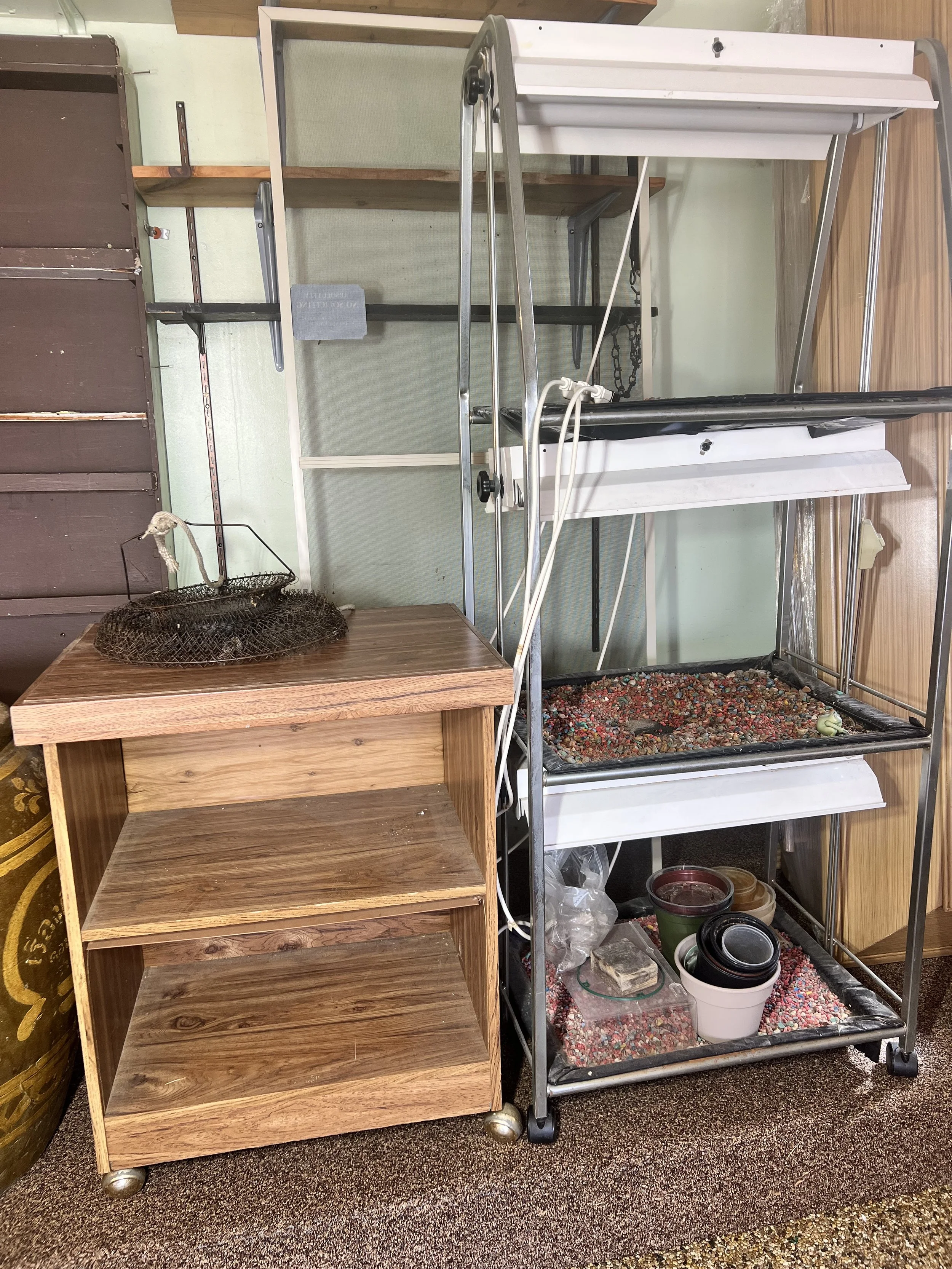 Large blonde wood shelf alongside the gardener's grow station