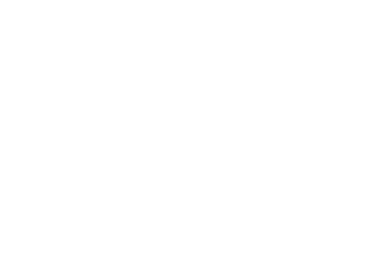 truck icon
