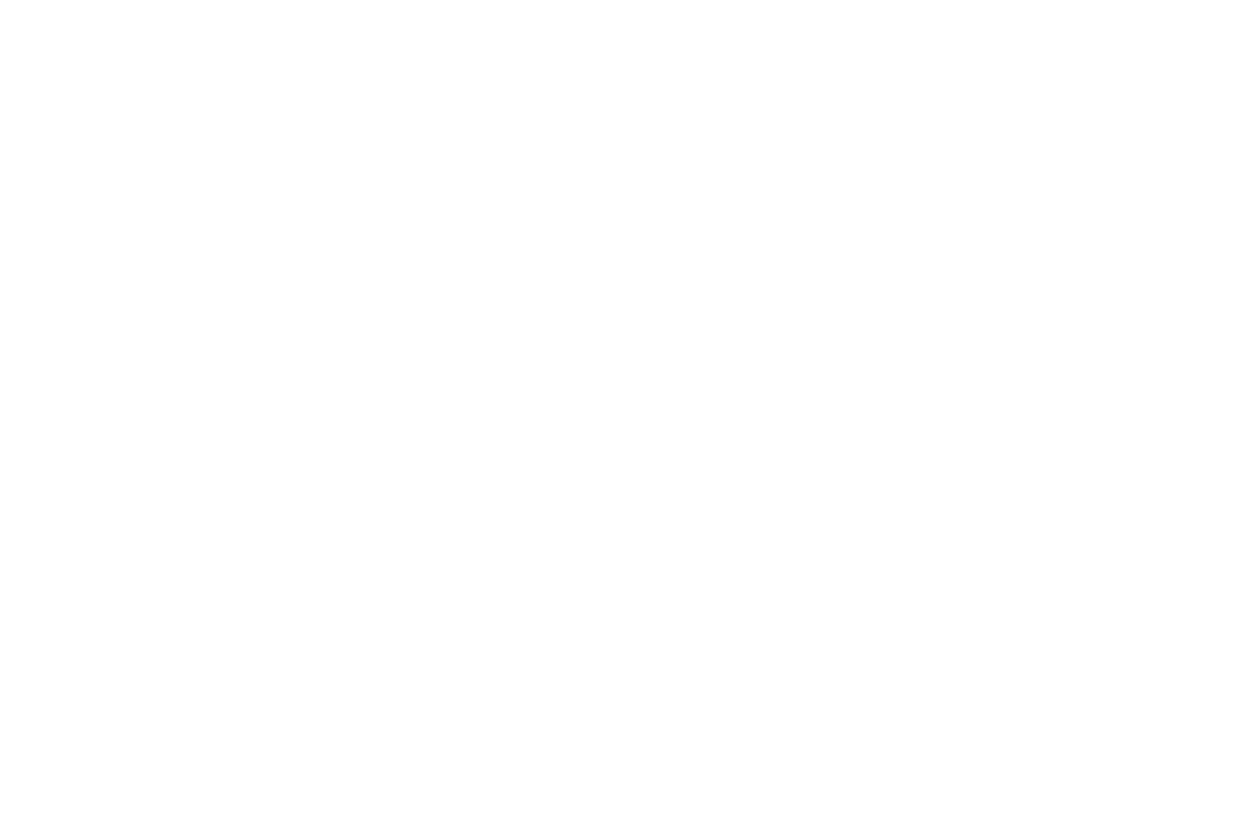 ladder icon