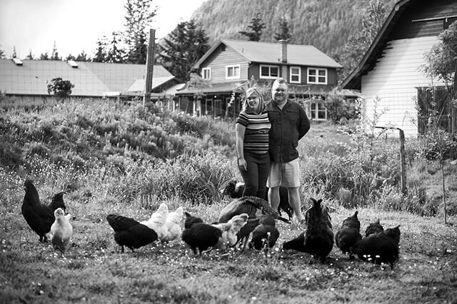 Thankful for this great man, these great animals, this great land, and this great new adventure. Thank you to the talented Snow for capturing this moment @snowdowd #diggingin #artistsofsaltspring #bearthebordercollie #blackcoppermarans #wheatenamerau