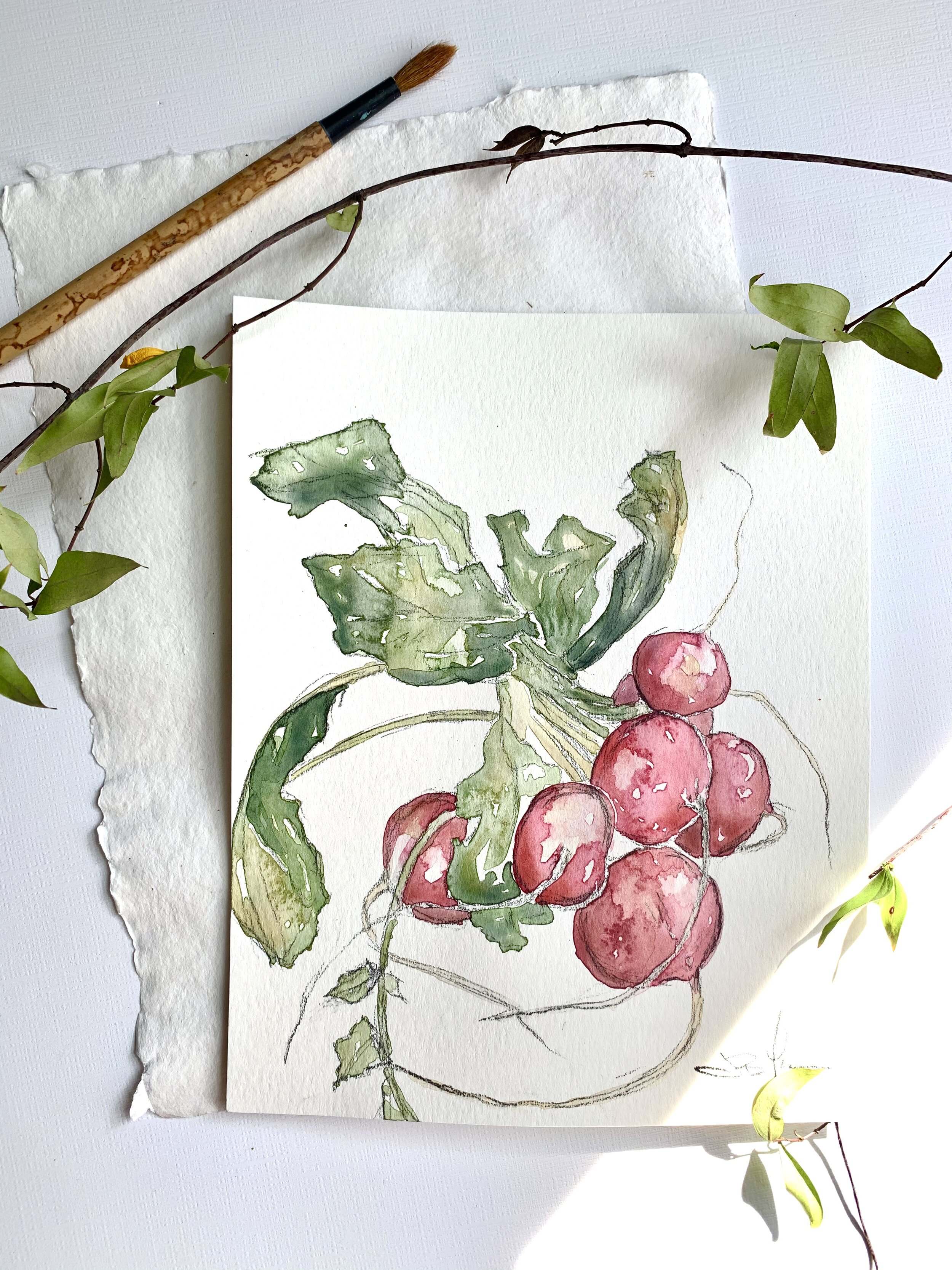 Radishes 2.jpg