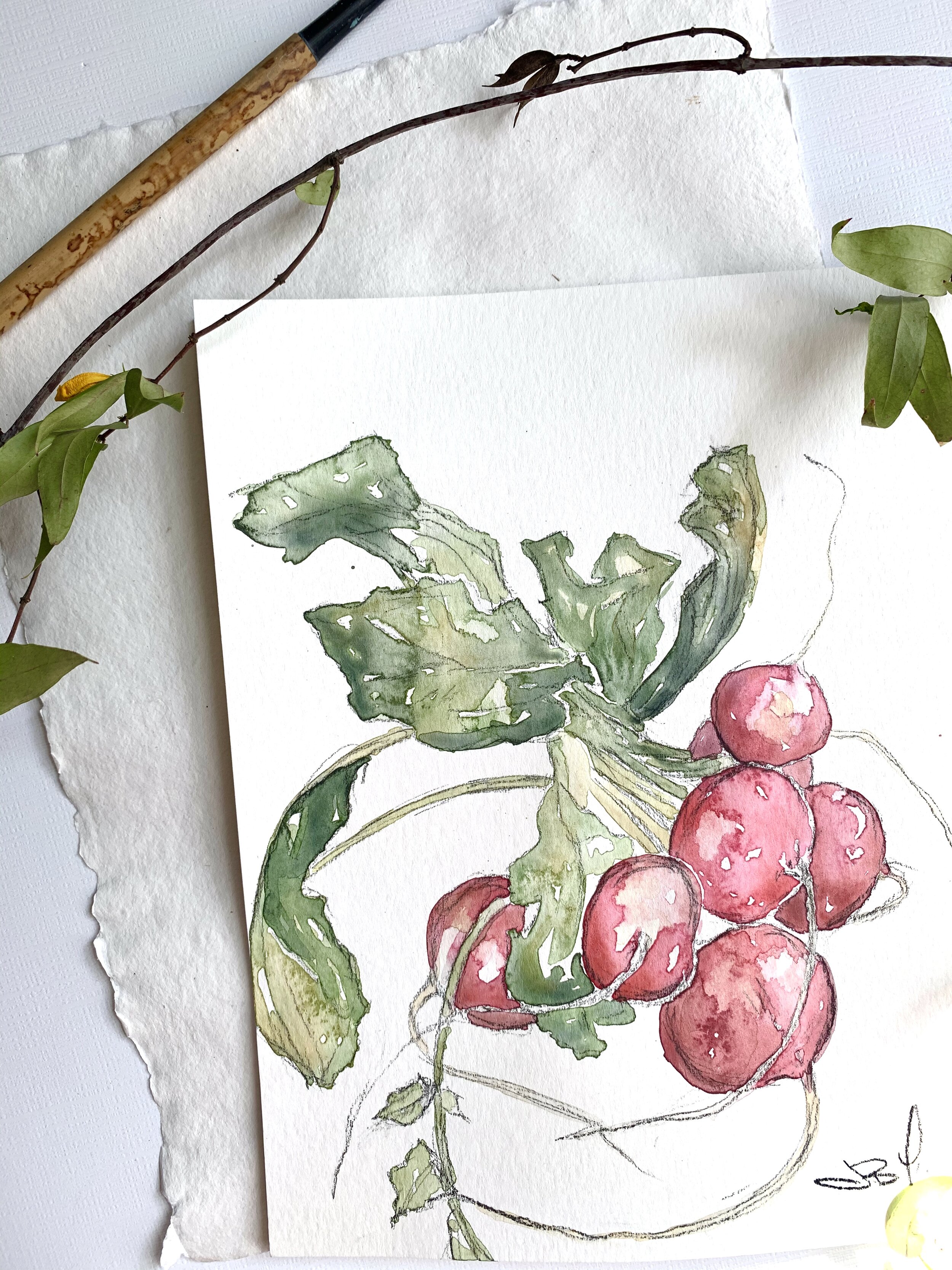 Radishes cropped.jpg
