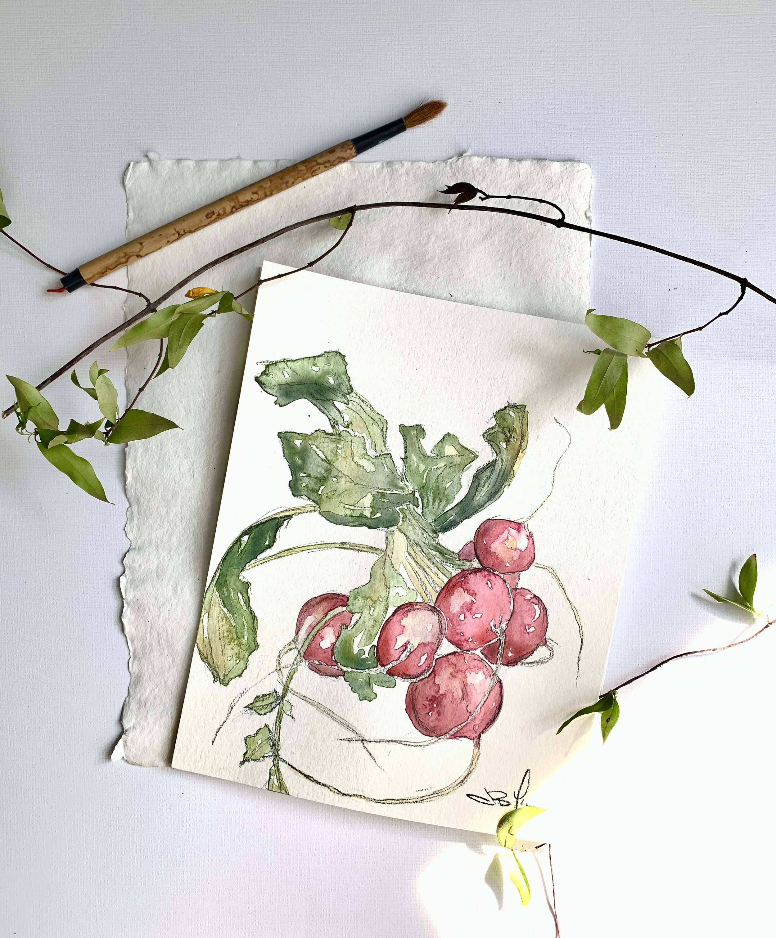Radishes.jpg