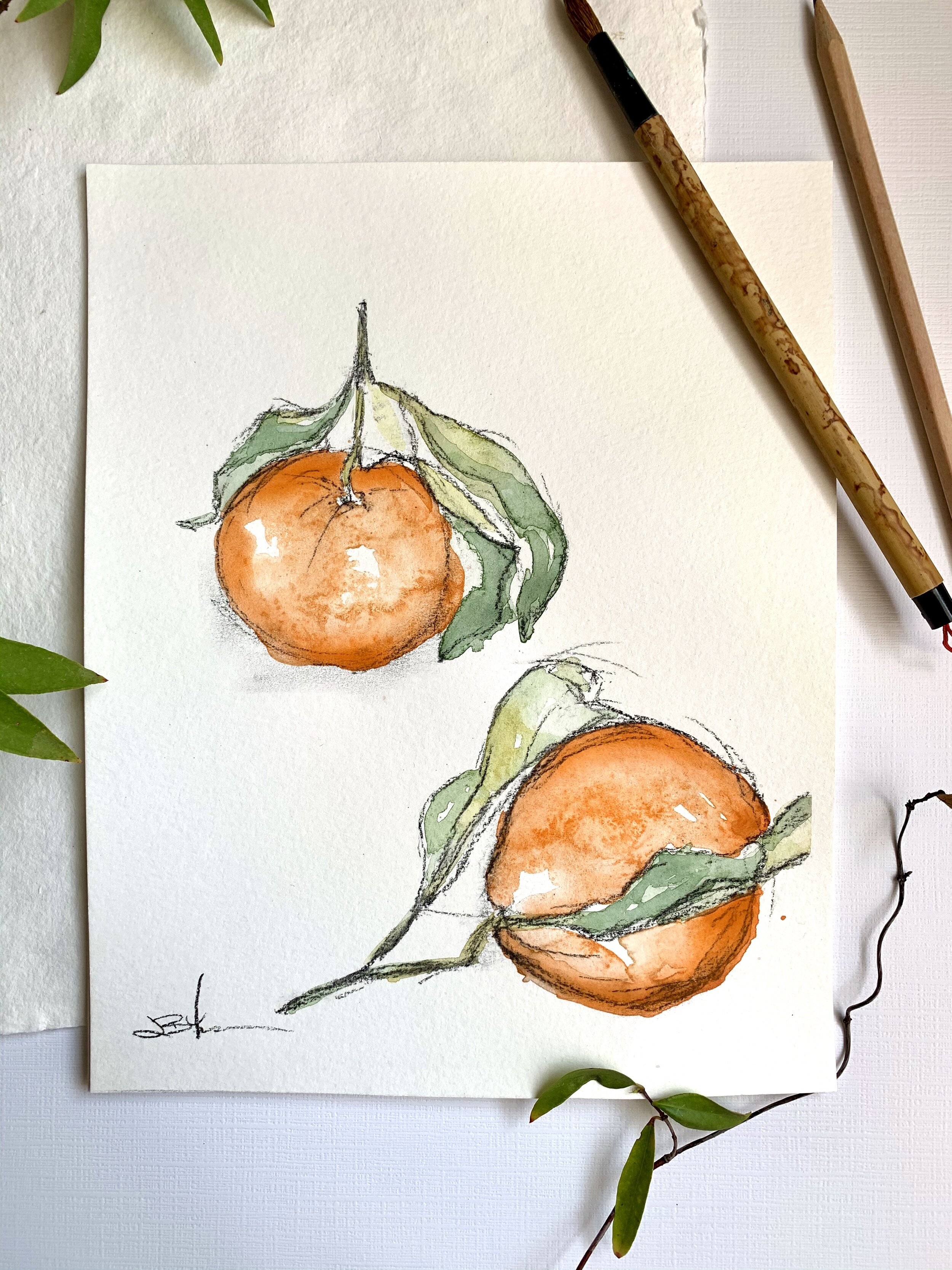 satsuma cropped.jpg