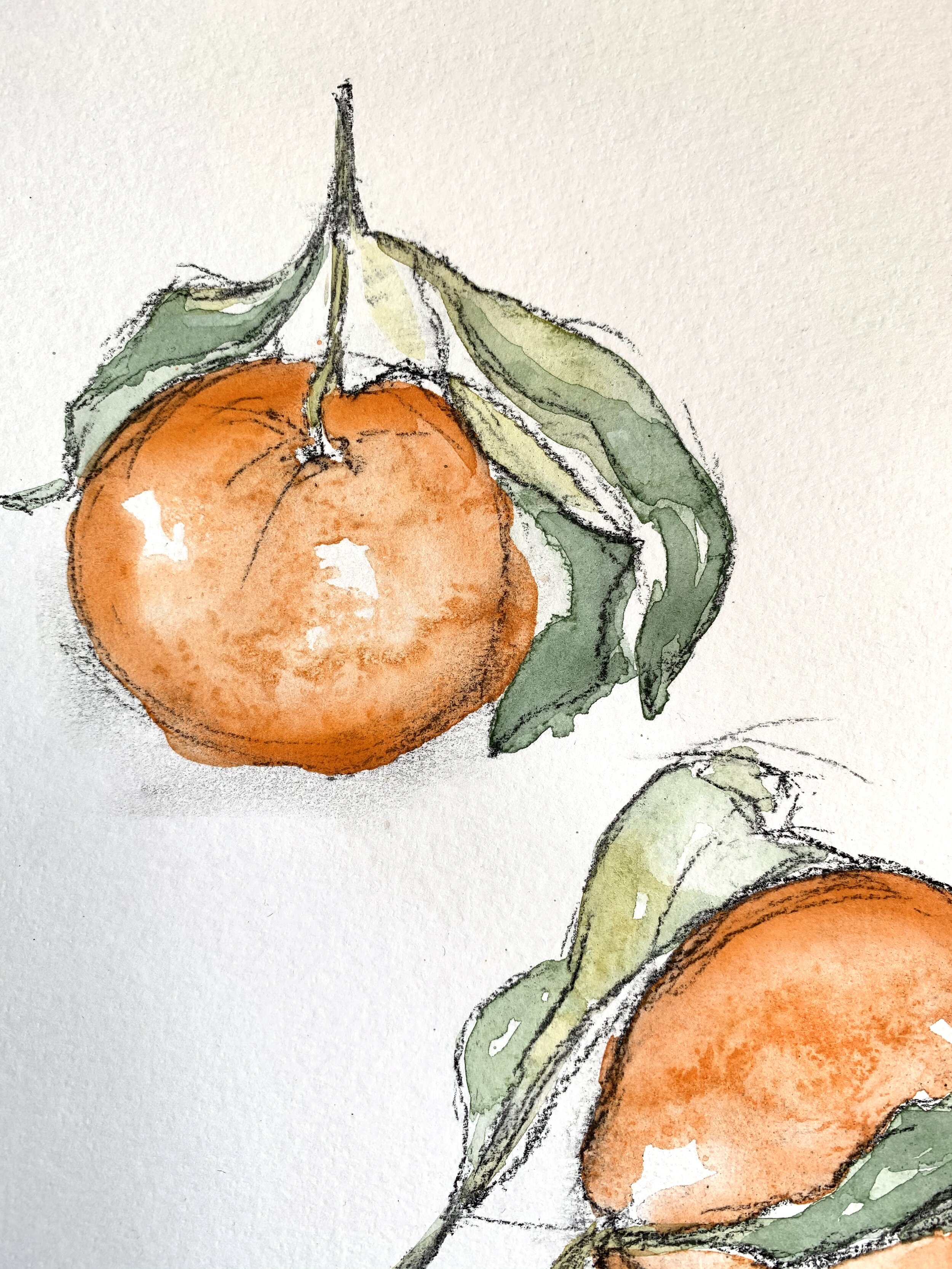 satsuma close.jpg