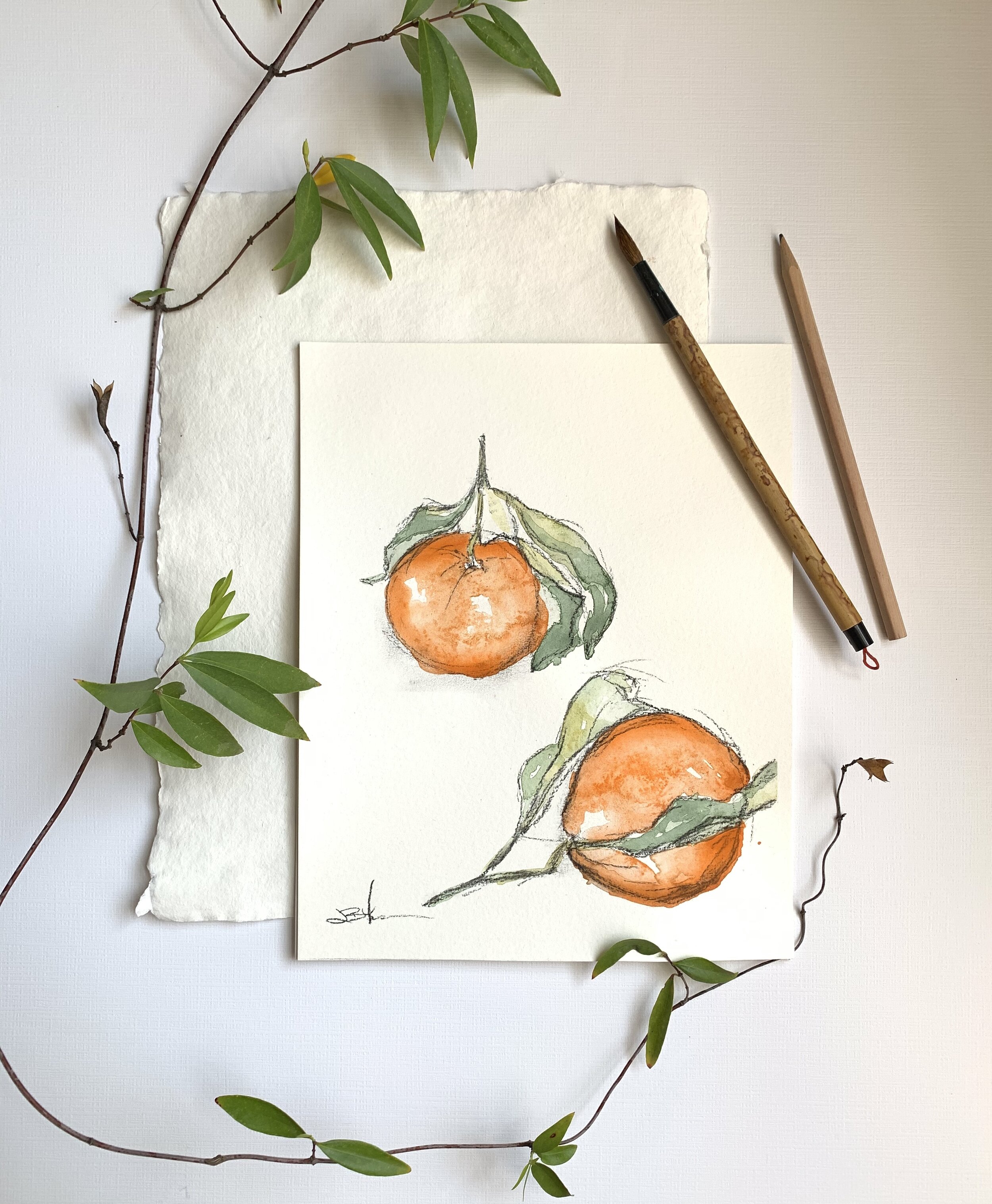 satsuma.jpg