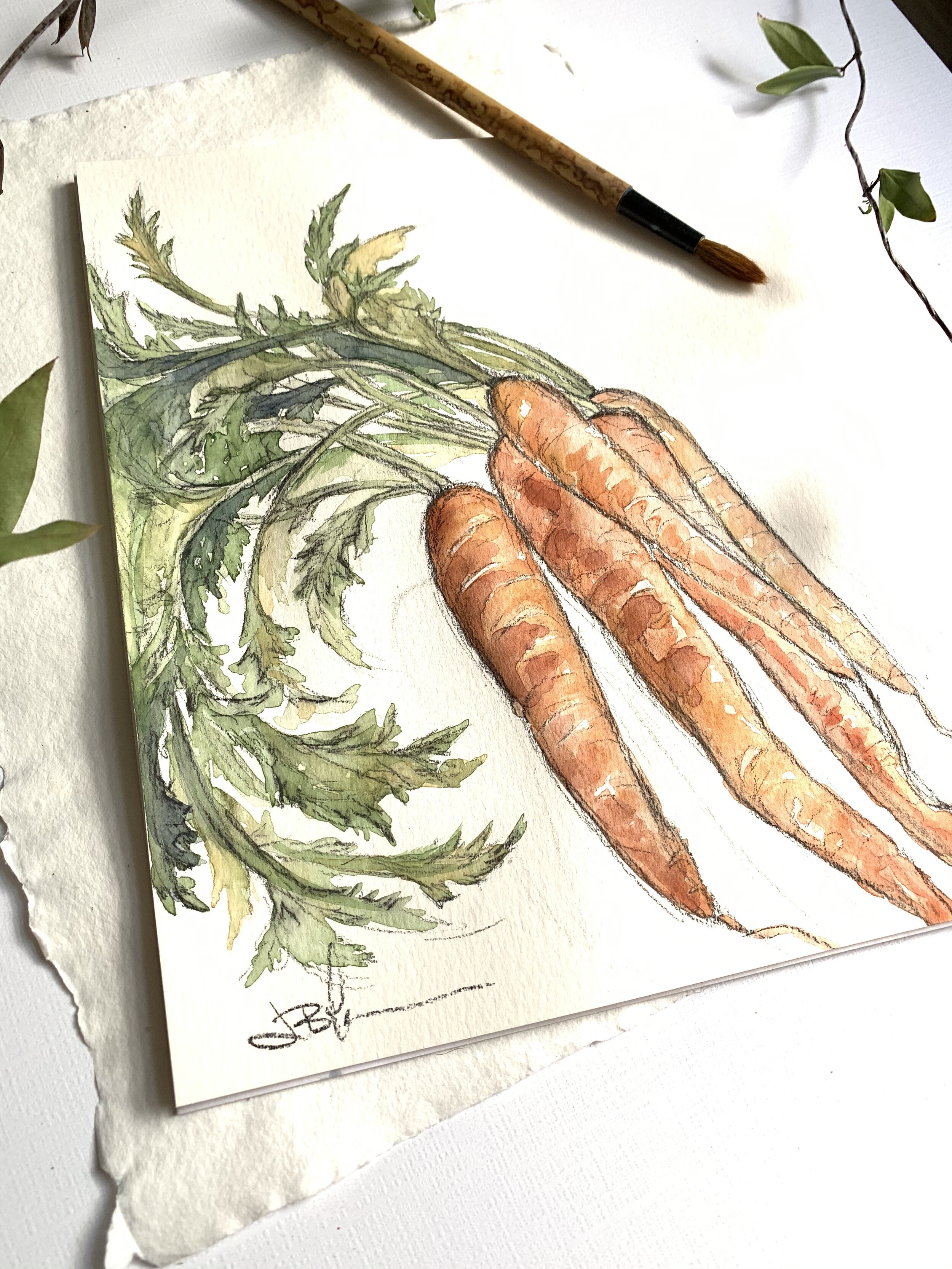 Carrots angle.jpg