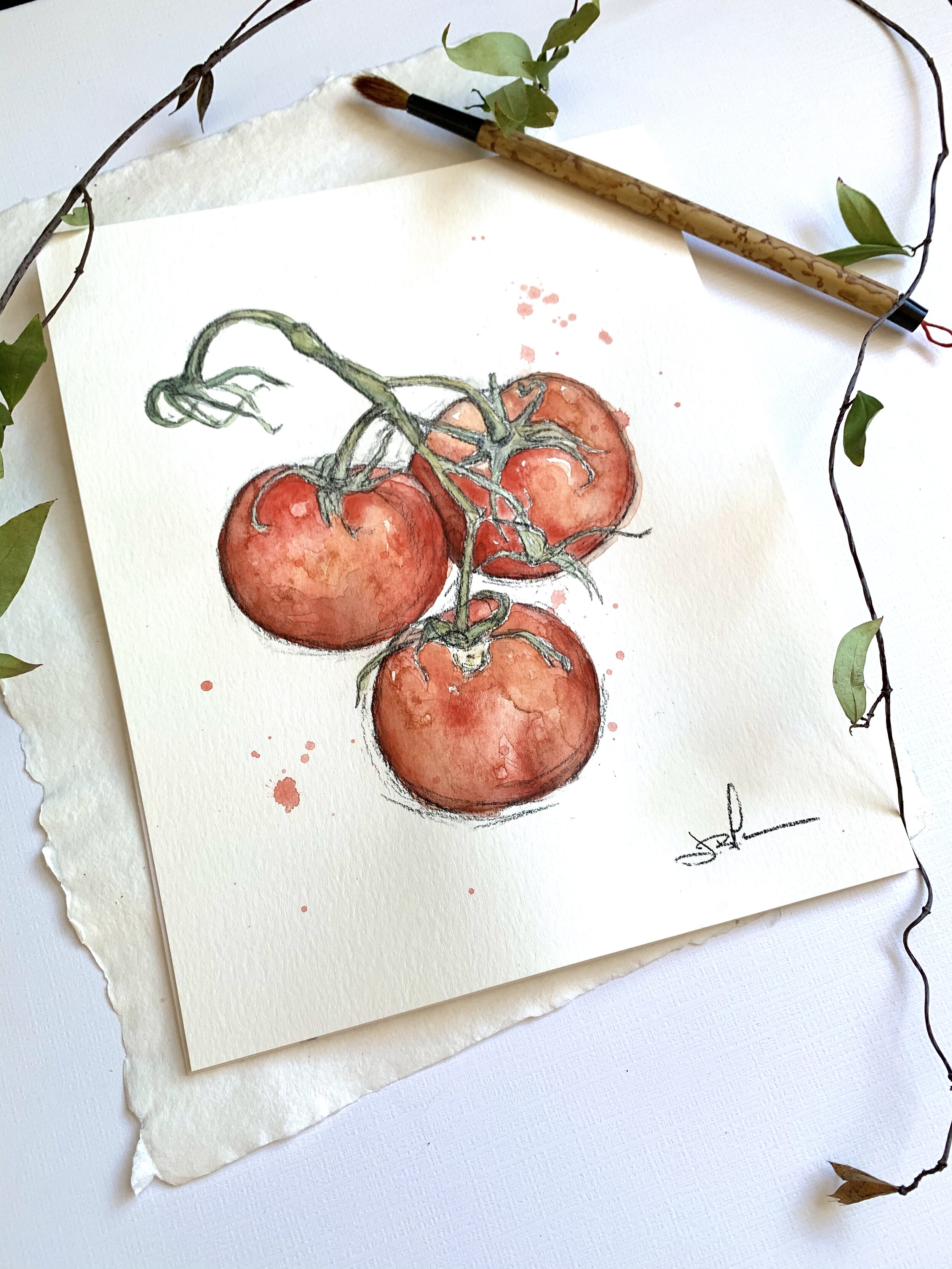 Tomatoes angle2.jpg