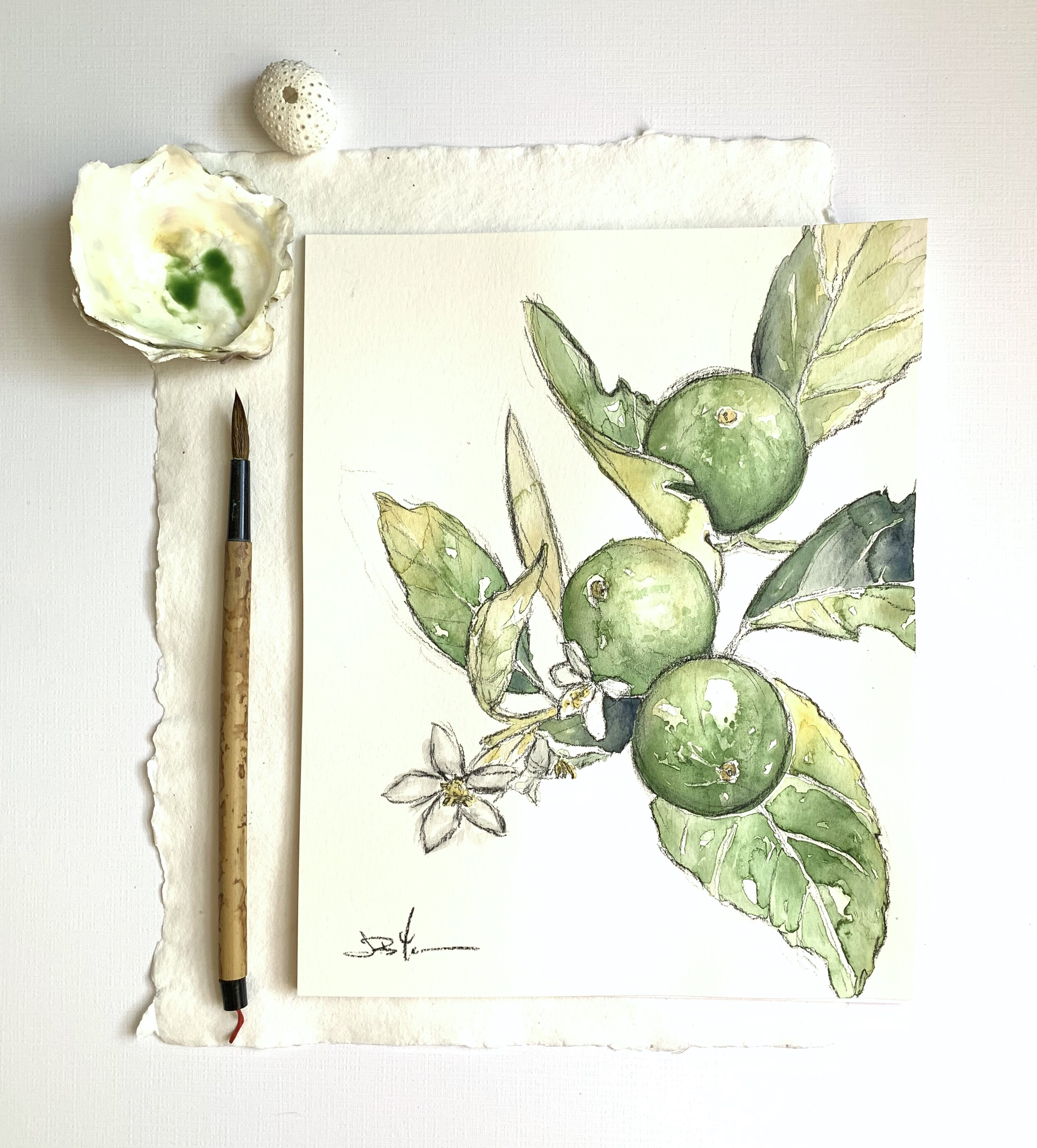 limes.jpg