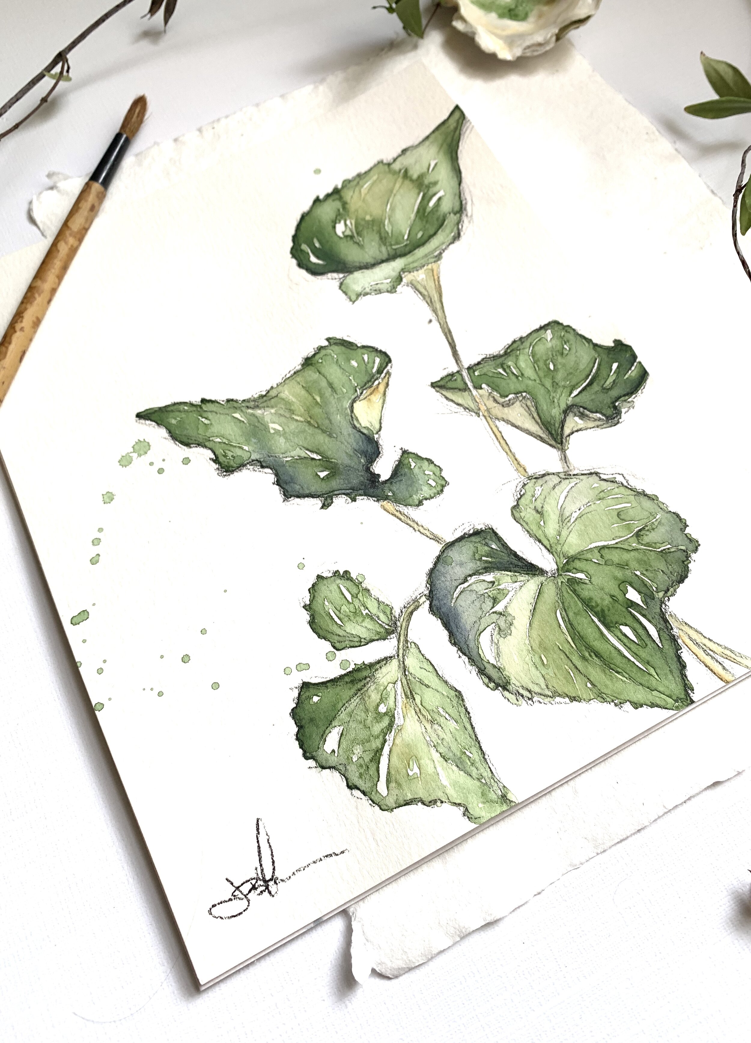 Violet Leaves angle.jpg