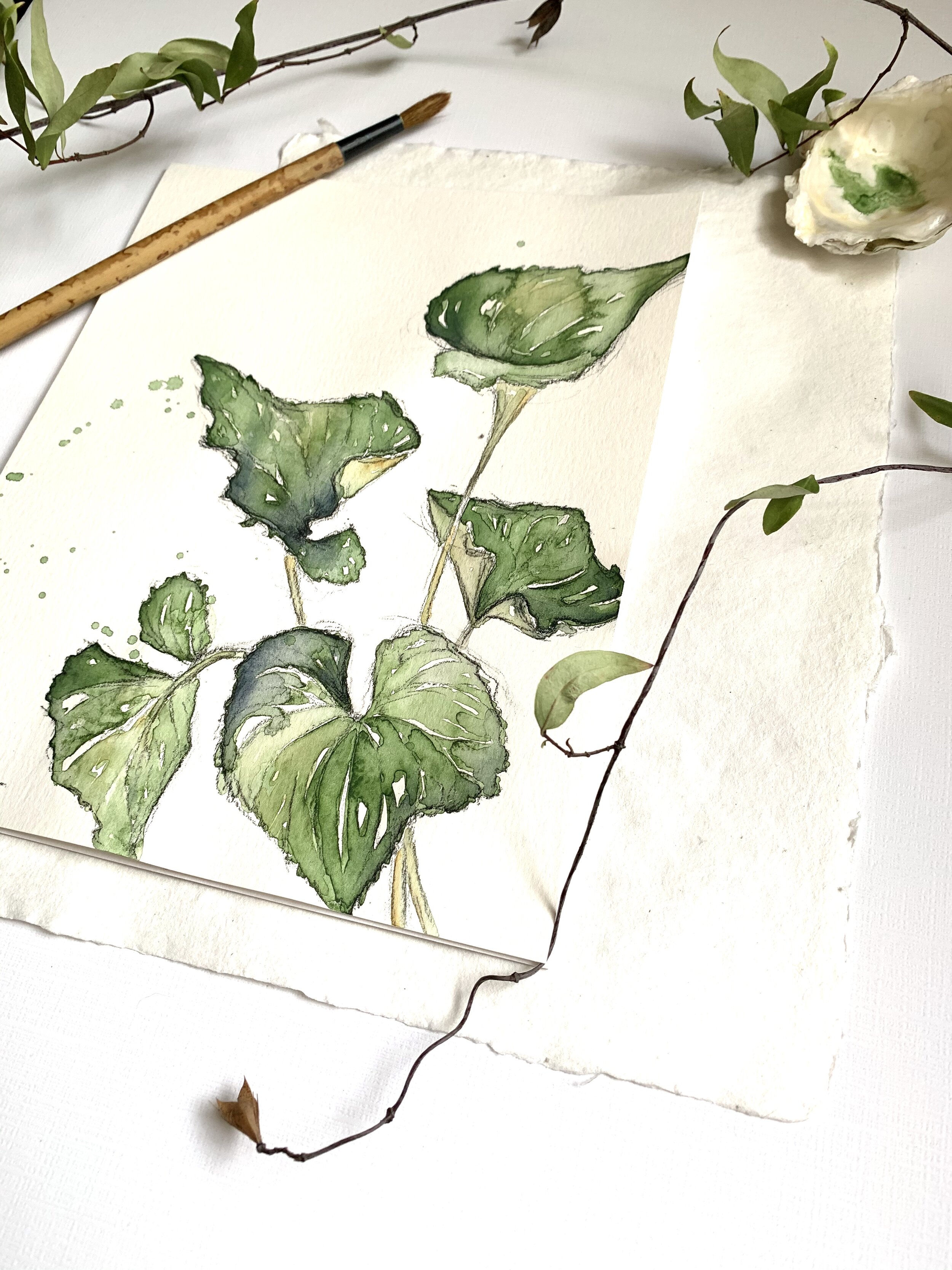 Violet Leaves angle 2.jpg