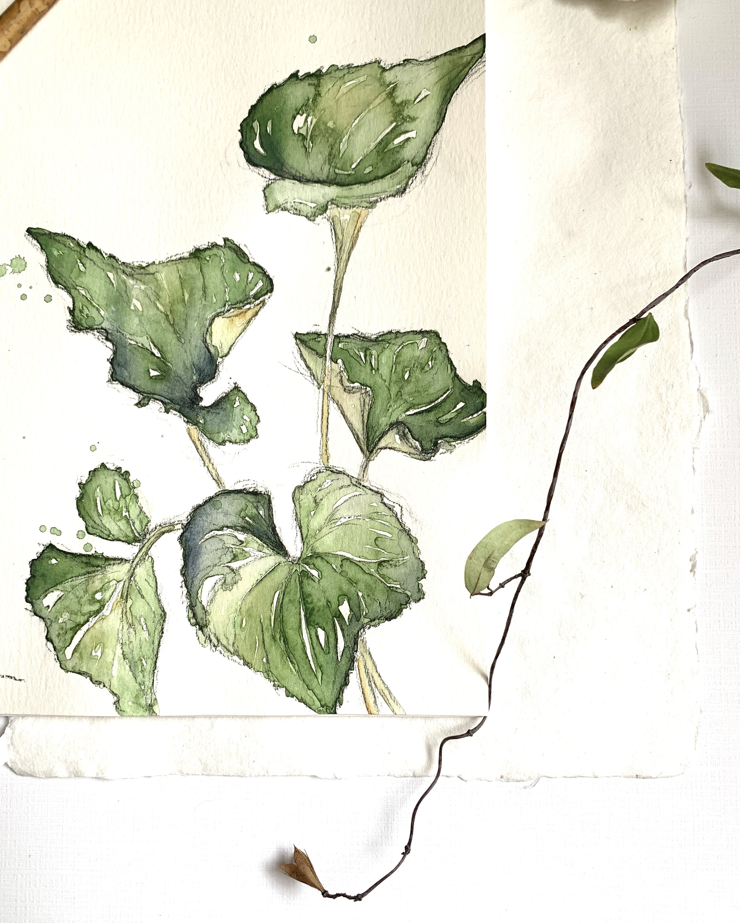 Violet Leaves corner.jpg