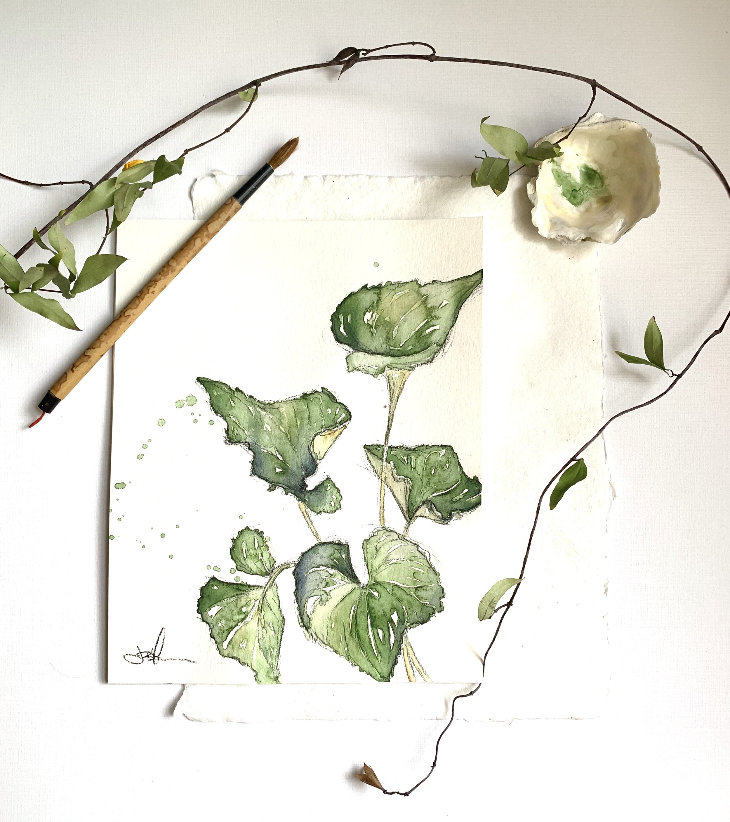 Violet Leaves.jpg