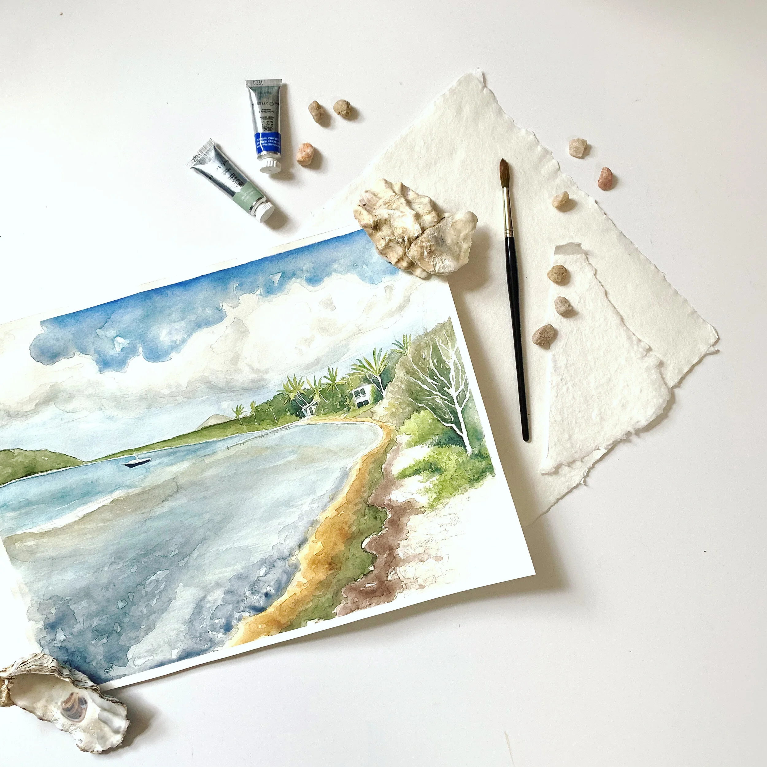 Turtle Beach Flat Lay bright.JPG