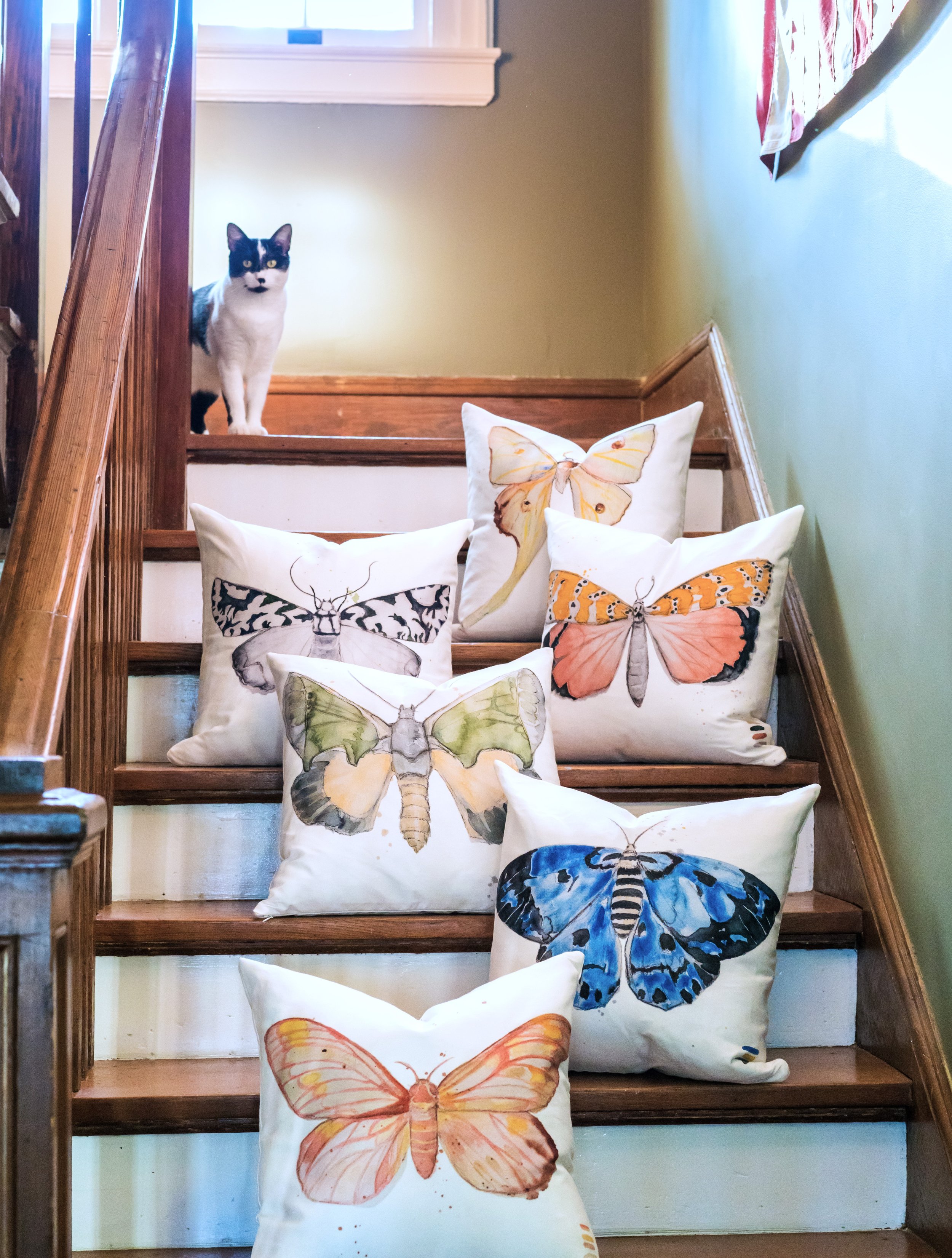 Pillows & Maggie on Stairs edited.jpg