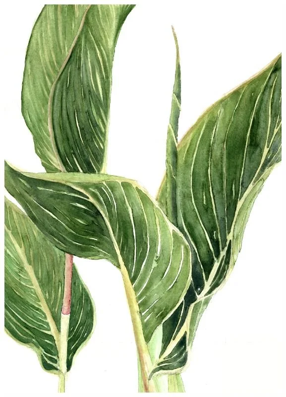 Sundrenched II low res.jpg