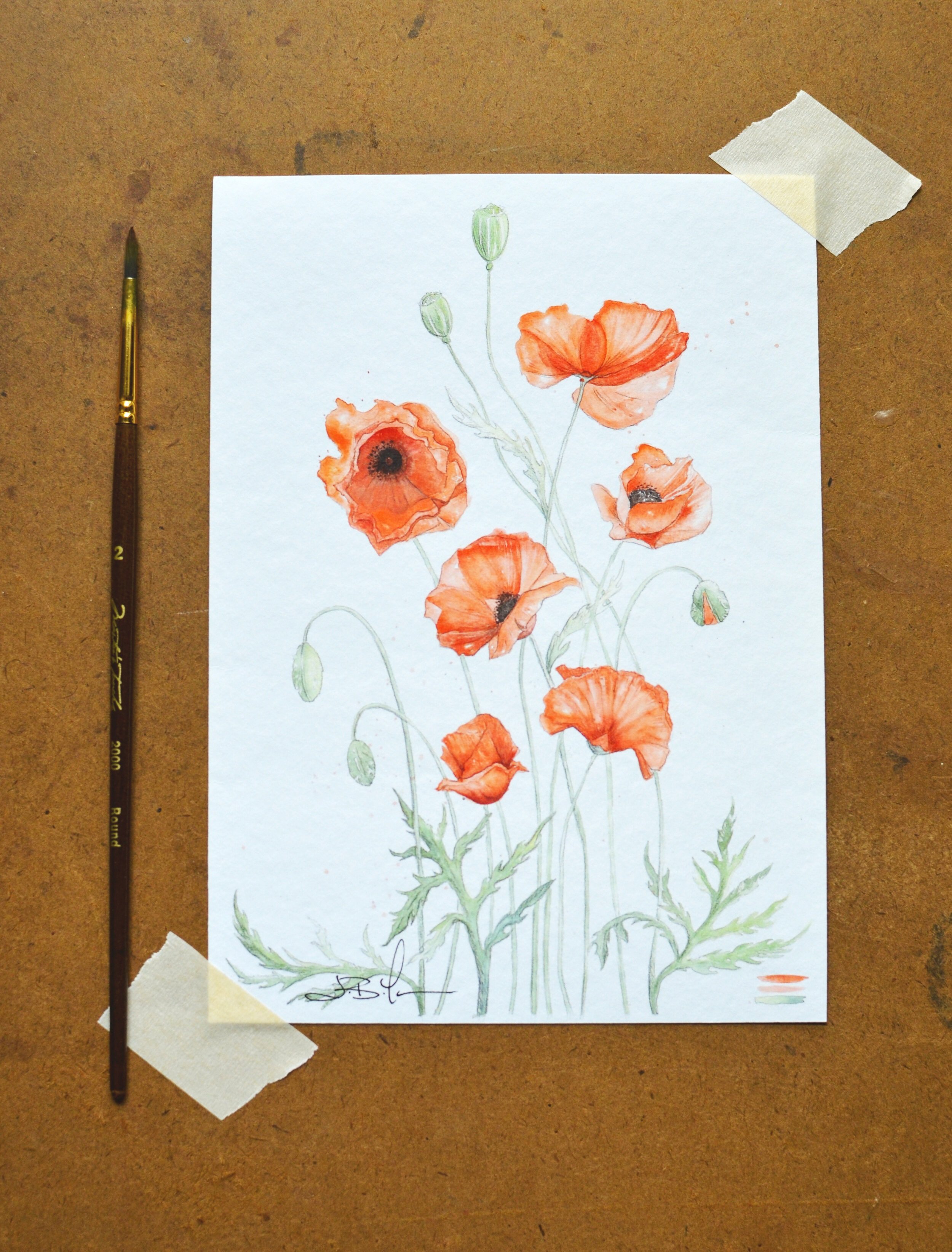 Poppies+5x7+%281+of+1%29.jpg