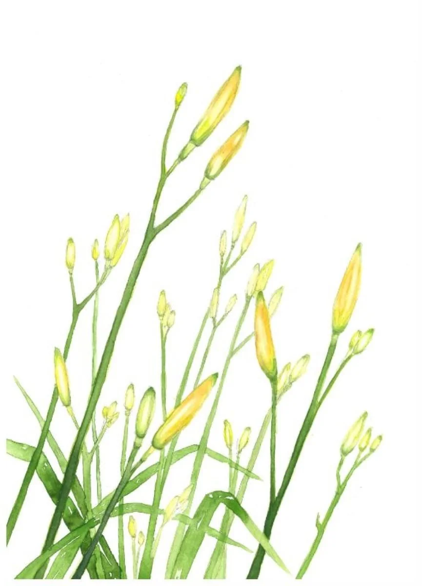 We live by the Sun low res.jpg