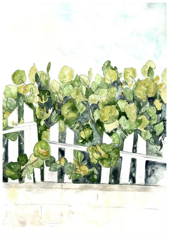 Cicada sound like summer low res.jpg